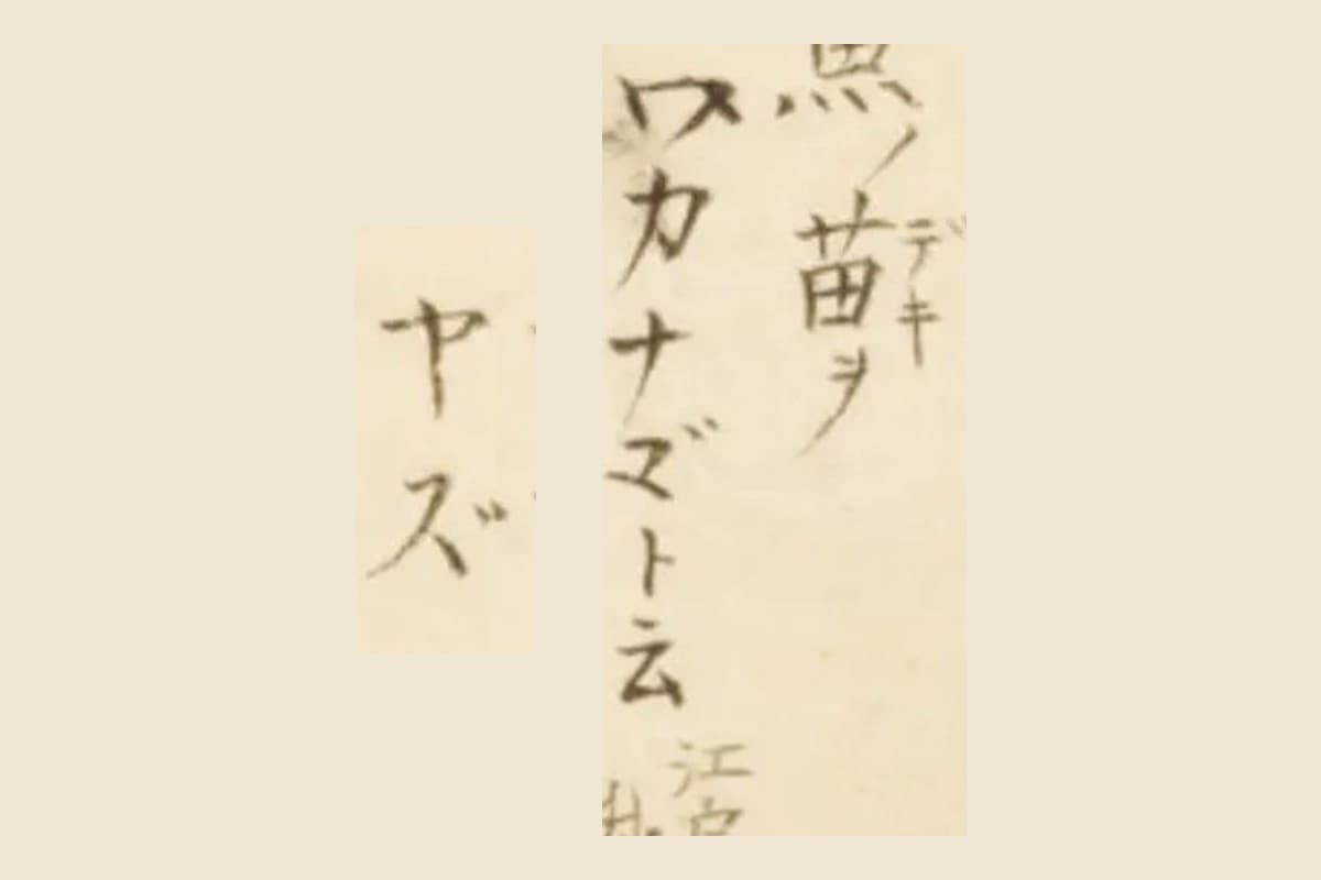 『梅園魚品図正』コマ10の書き入れ「ワカナ□ト云」と、同じページの「ヤズ」の大写し