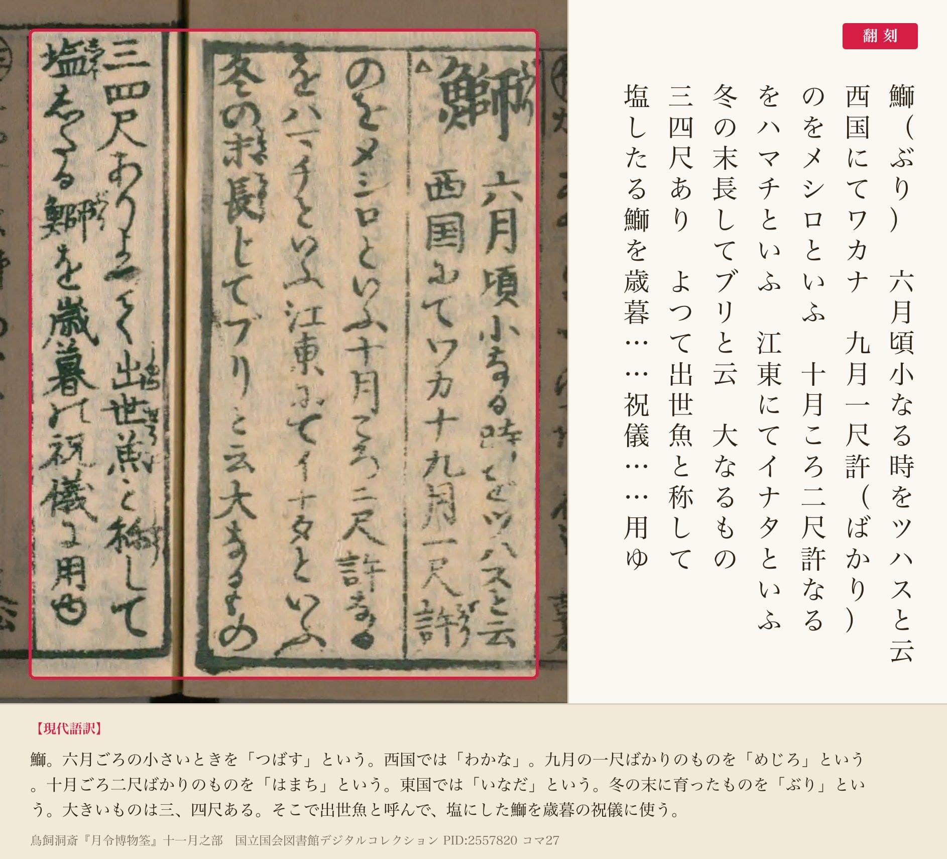 『月令博物筌』コマ27の鰤の項の全文と翻刻