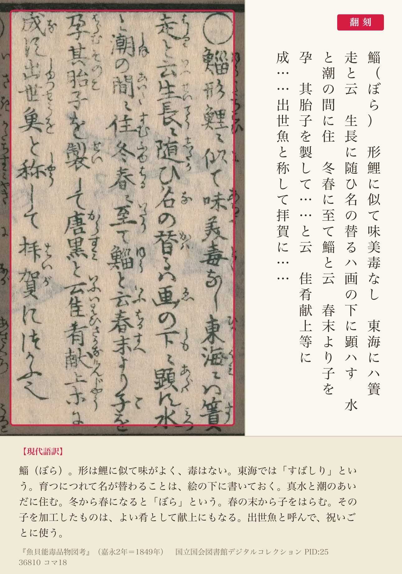 『魚貝能毒品物図考』コマ18の鯔の項と翻刻