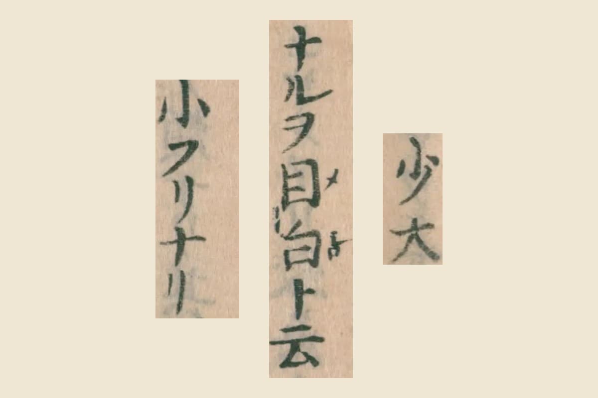 『大和本草』巻十三コマ20の「少大」「ナルヲ目白ト云」「小フリナリ」の大写し