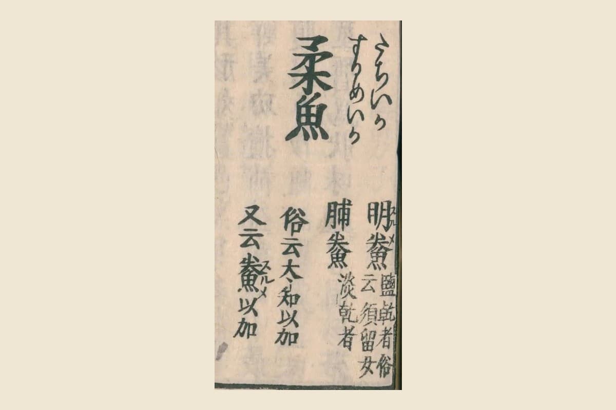 『和漢三才図会』コマ30の見出し「柔魚」と注「明鯗」「脯鯗」「俗云須留女」「又云鯗以加」の大写し