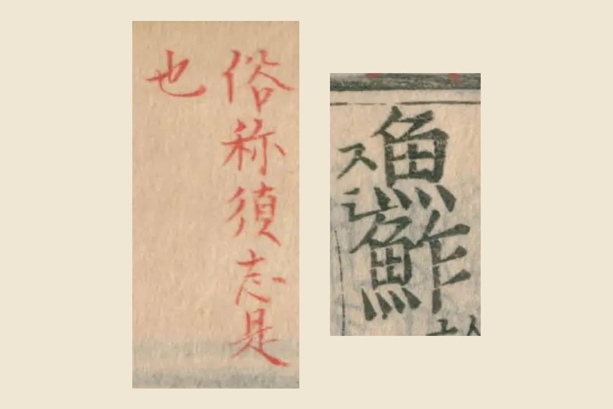 『本草綱目』コマ108の見出し「魚鮓（スシ）」と上欄の朱の書き入れ「俗称須志是也」の大写し