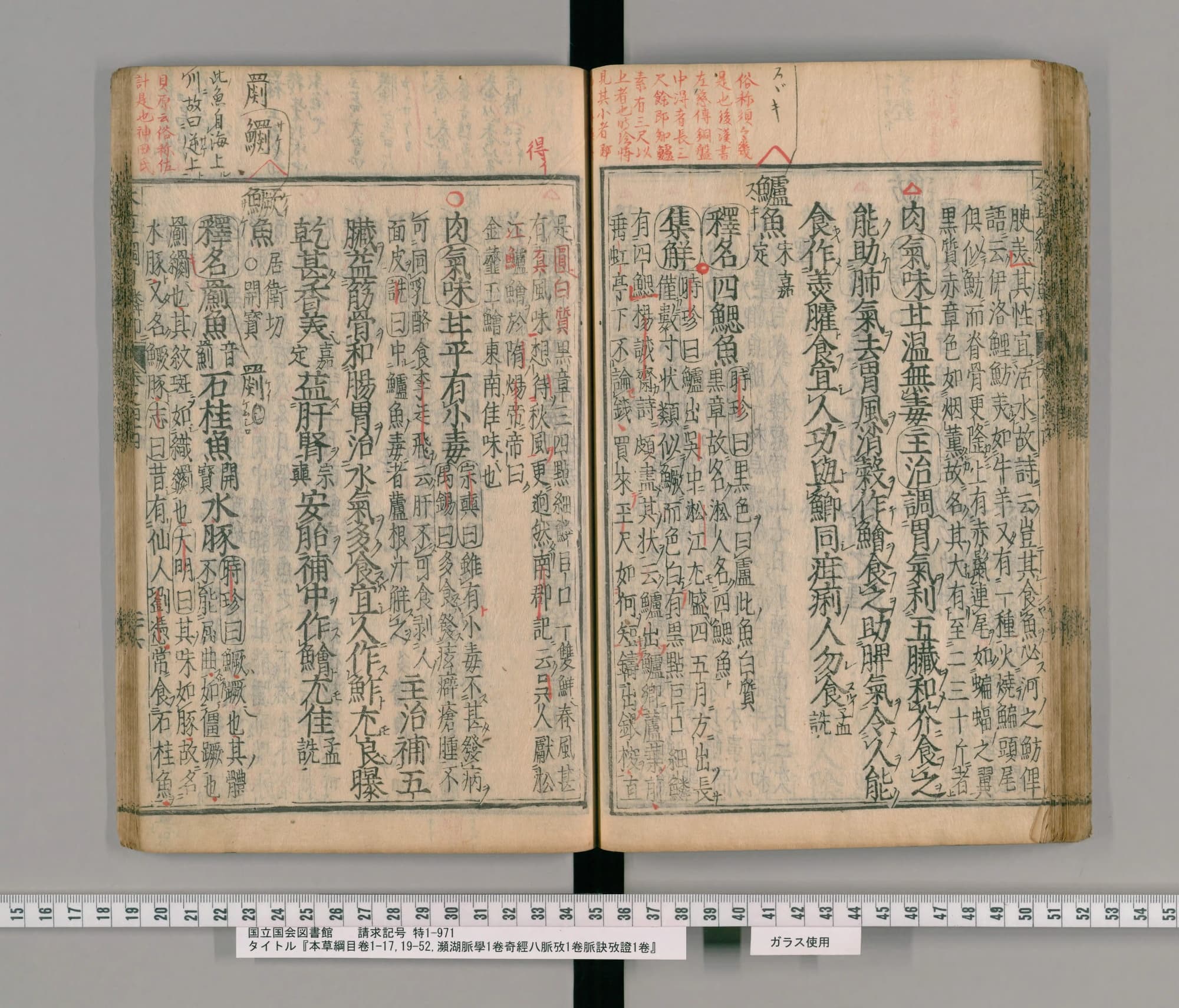 『本草綱目』承応2年刊本 巻四十四コマ73の見開き。右ページに見出し「鱸魚」、上の余白に朱の書き入れ