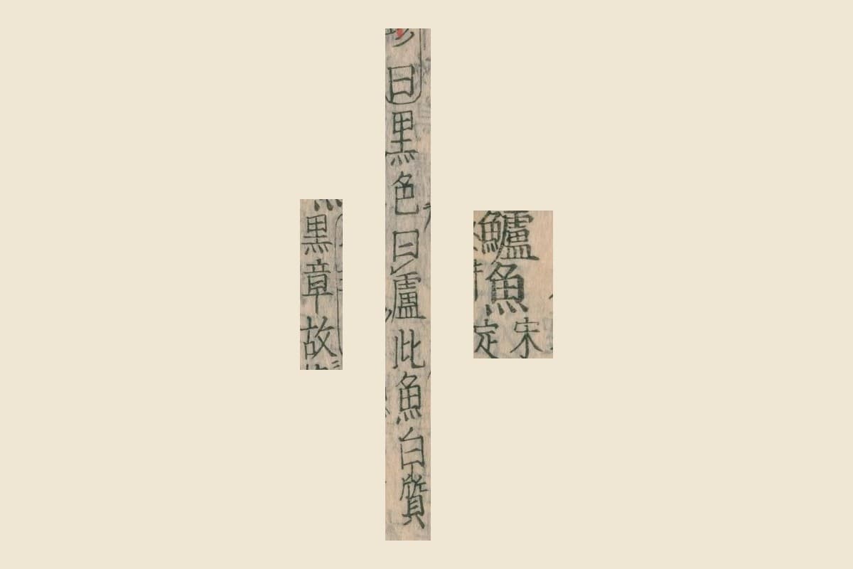 『本草綱目』コマ73の見出し「鱸魚」と「曰黒色曰盧此魚白質」「黒章故」の大写し