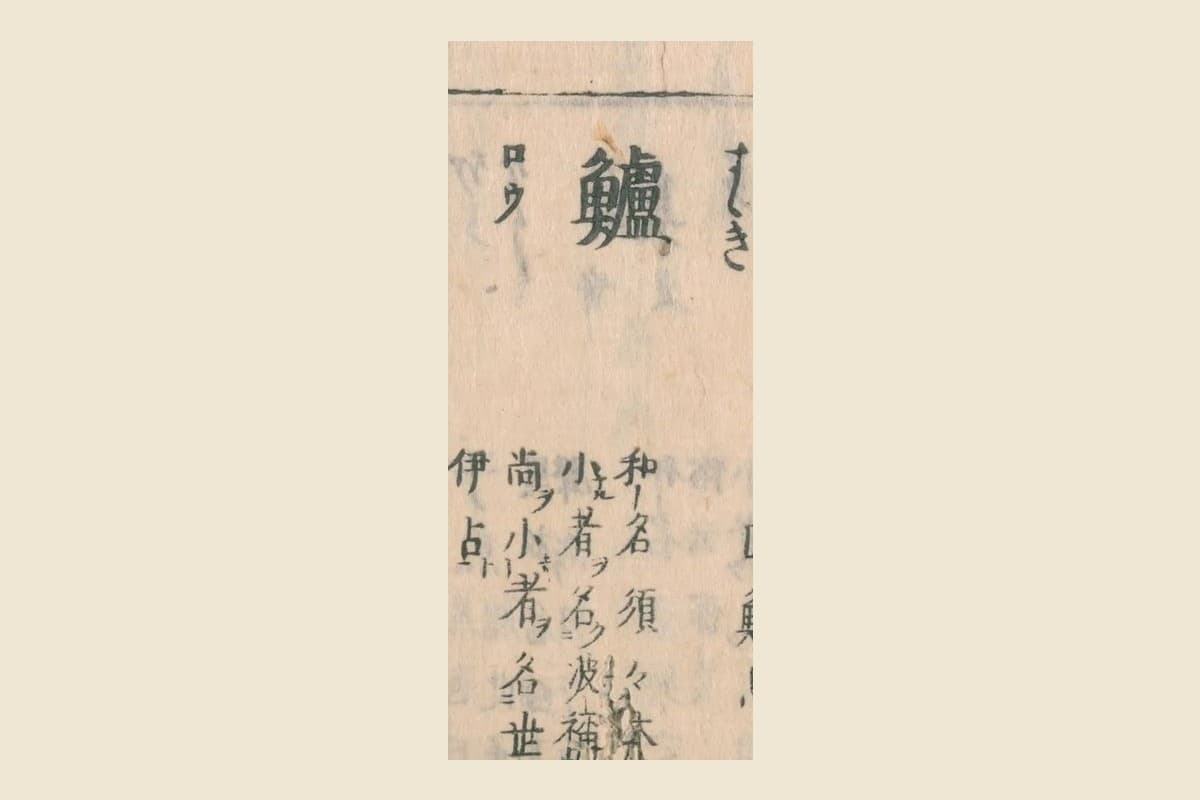 『和漢三才図会』の見出し「鱸（すずき）ロウ」と「和名須々岐　小者名波祢　尚小者名世伊古」の大写し