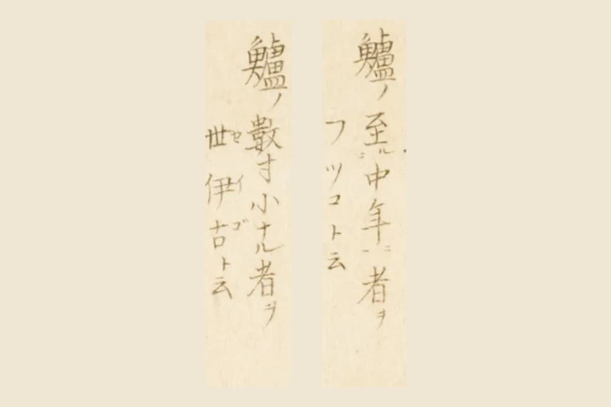 『梅園魚品図正』の「鱸ノ至中年ニ者ヲ フツコト云」と「鱸ノ數寸小ナル者ヲ 世伊古ト云」の大写し