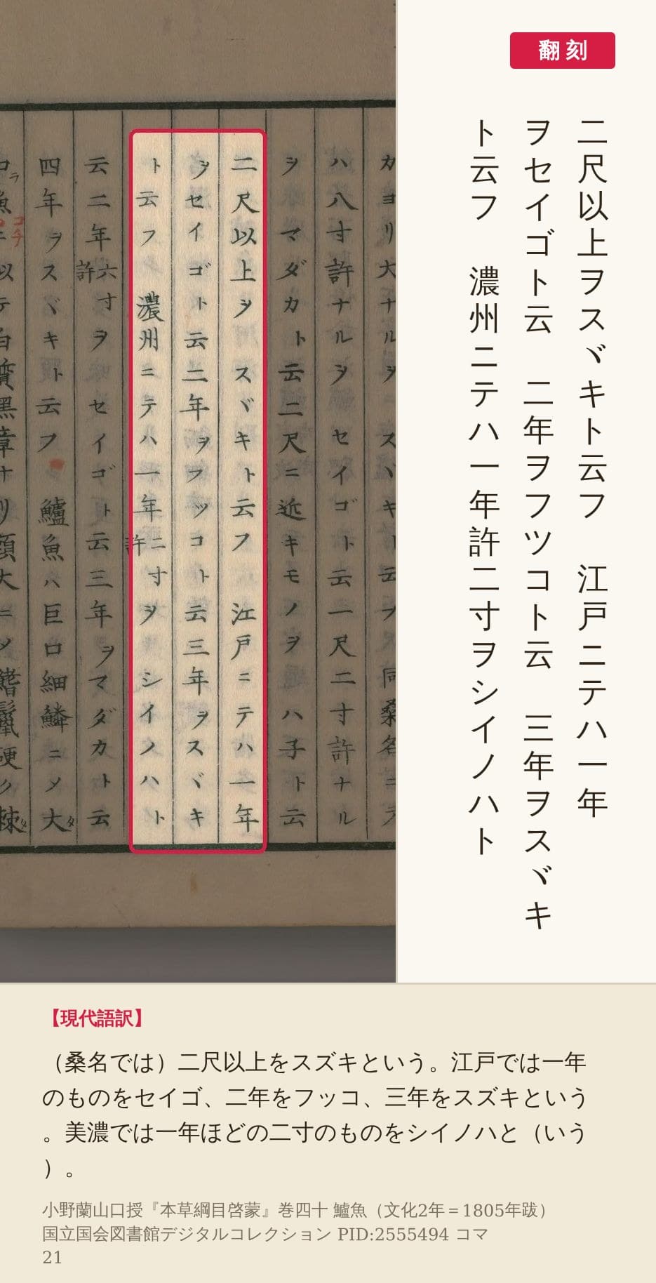 『本草綱目啓蒙』コマ21の「江戸ニテハ一年ヲセイゴト云」の3列の赤枠と翻刻