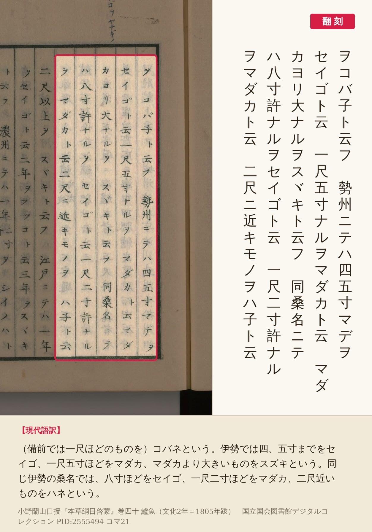 『本草綱目啓蒙』コマ21の勢州と桑名の呼び名5列の赤枠と翻刻