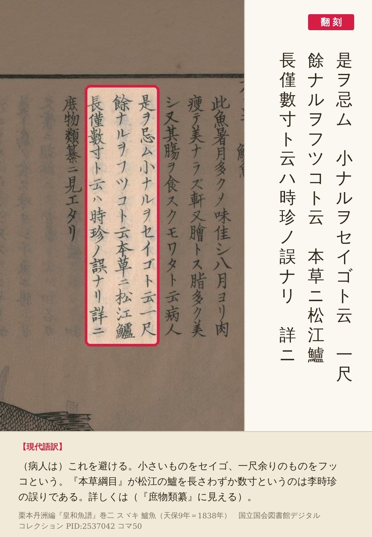 『皇和魚譜』コマ50の「小ナルヲセイゴト云」から「時珍ノ誤ナリ」までの3列の赤枠と翻刻