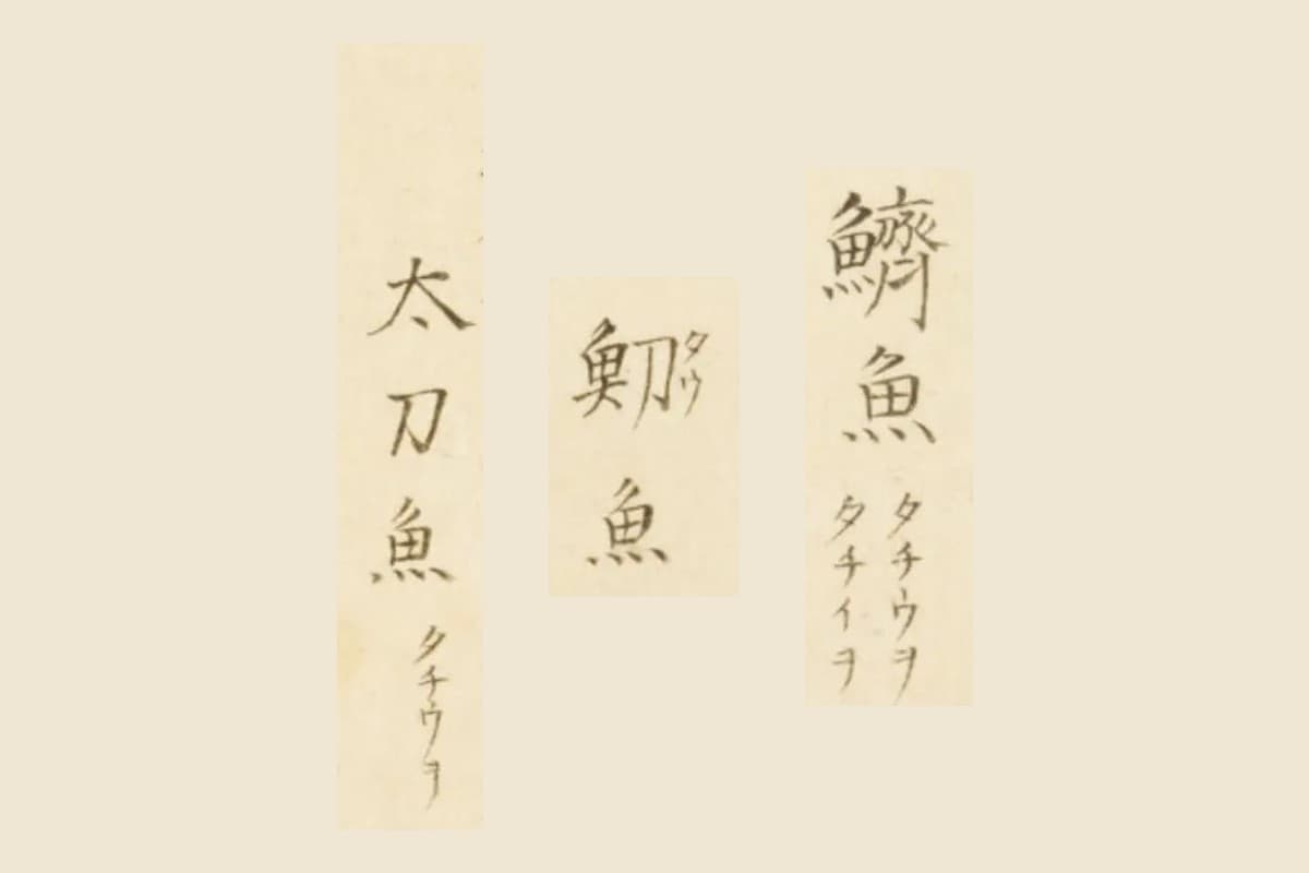 『梅園魚品図正』コマ48の「鱭魚　タチウヲ　タチイヲ」「魛魚」「太刀魚　タチウヲ」の大写し