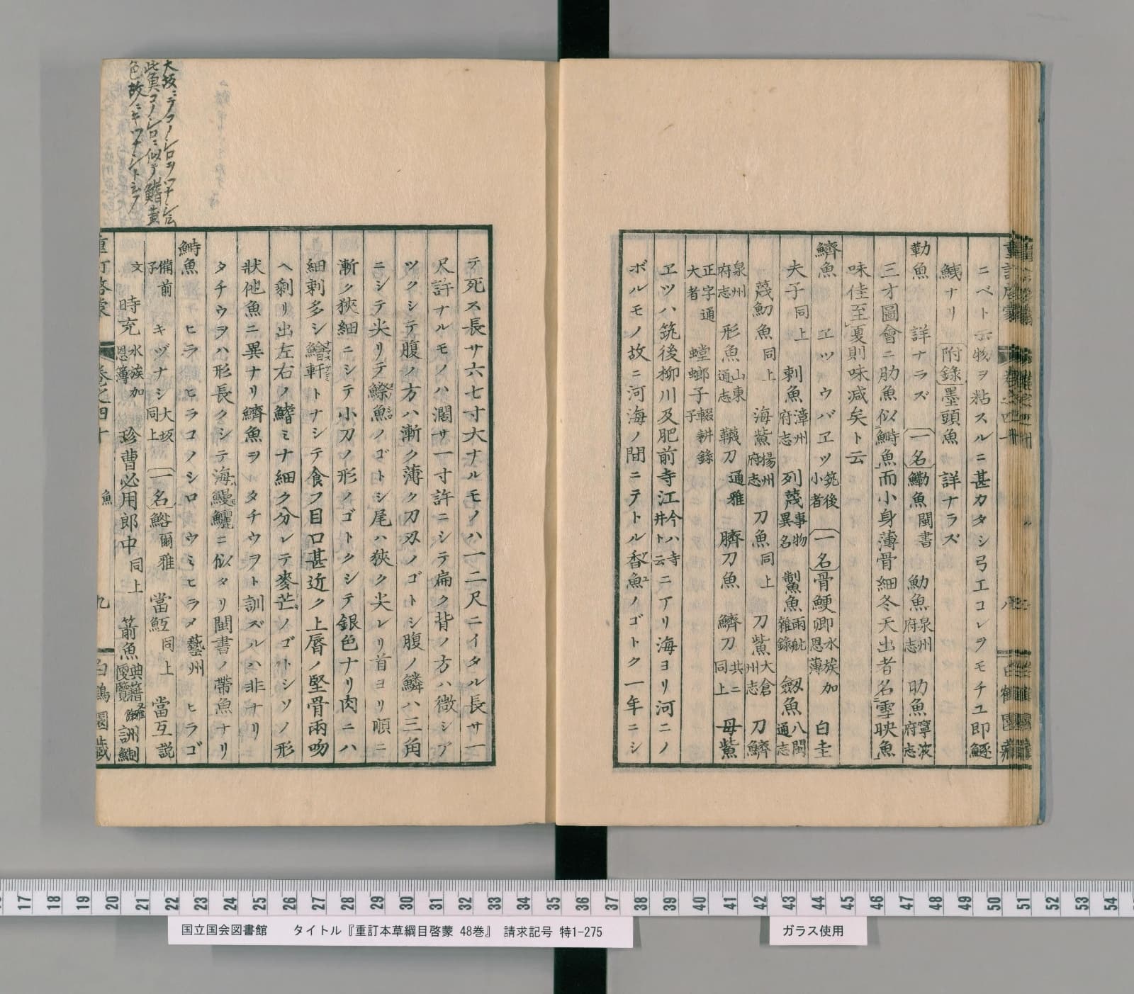 『重訂本草綱目啓蒙』巻四十コマ12の見開き。右ページに見出し「鱭魚　エツ　ウバエツ」