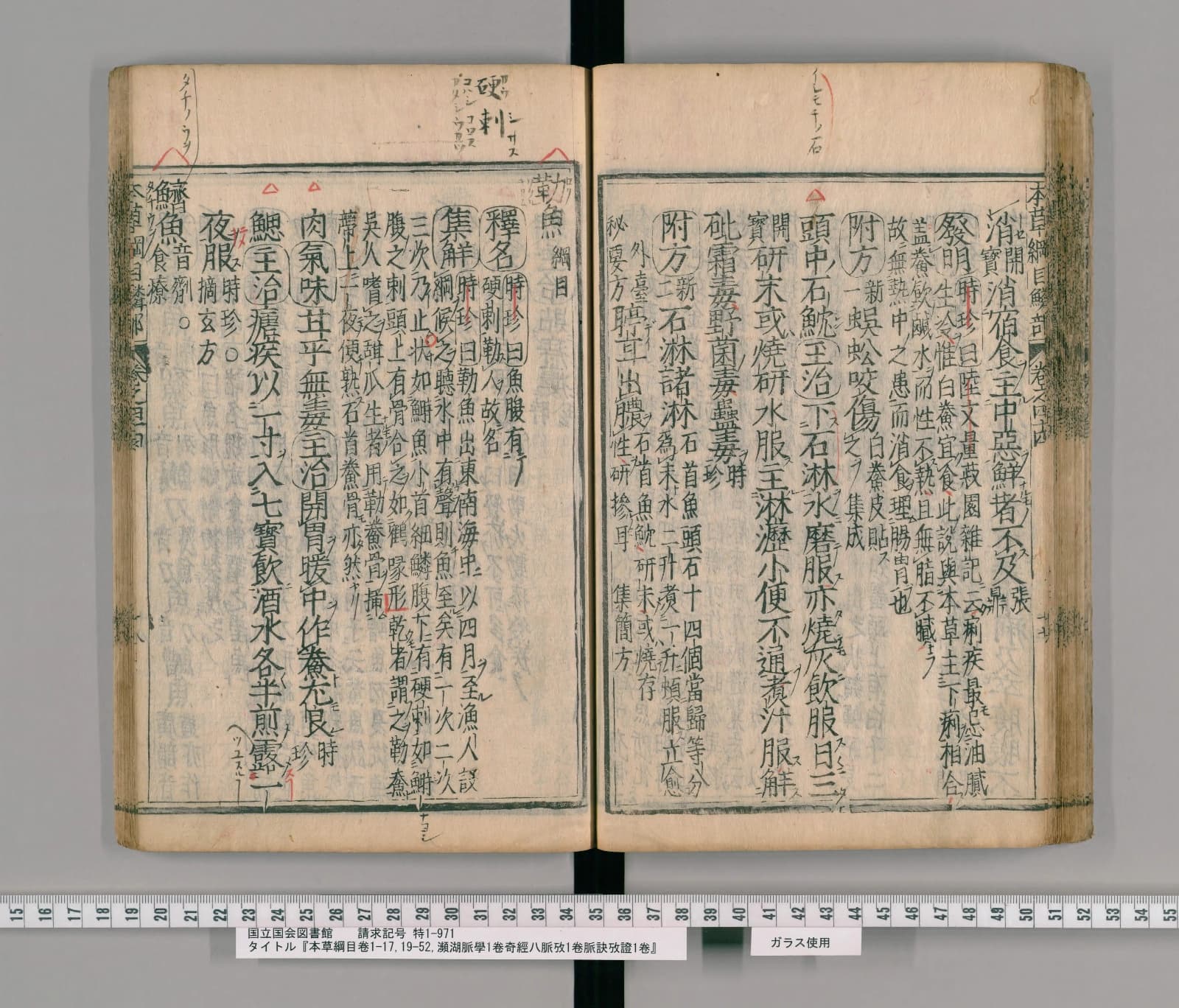 『本草綱目』巻四十四コマ65の見開き。左ページの左端に見出し「鱭魚」、上の余白に「タチノウヲ」の書き入れ