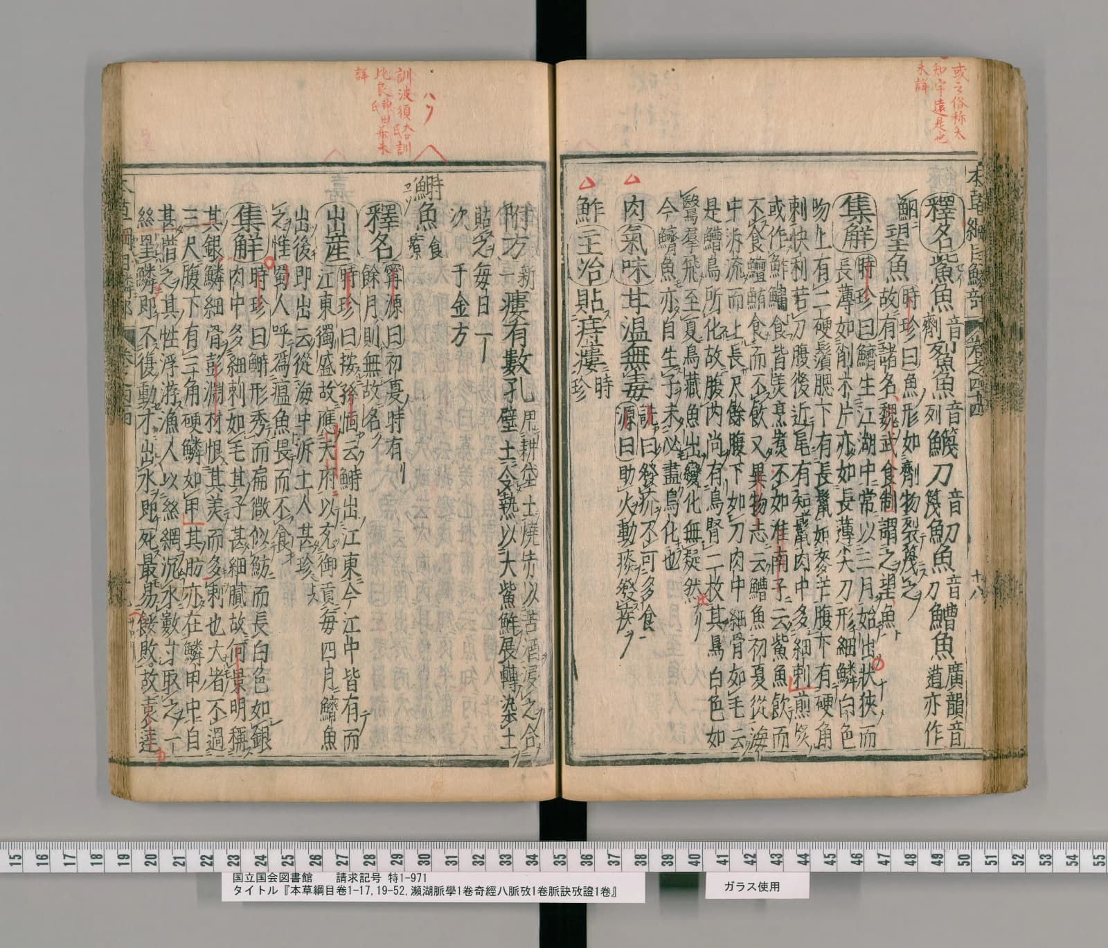 『本草綱目』巻四十四コマ66の見開き。右ページの右端に丸囲みの「釋名」、その左に「集解」