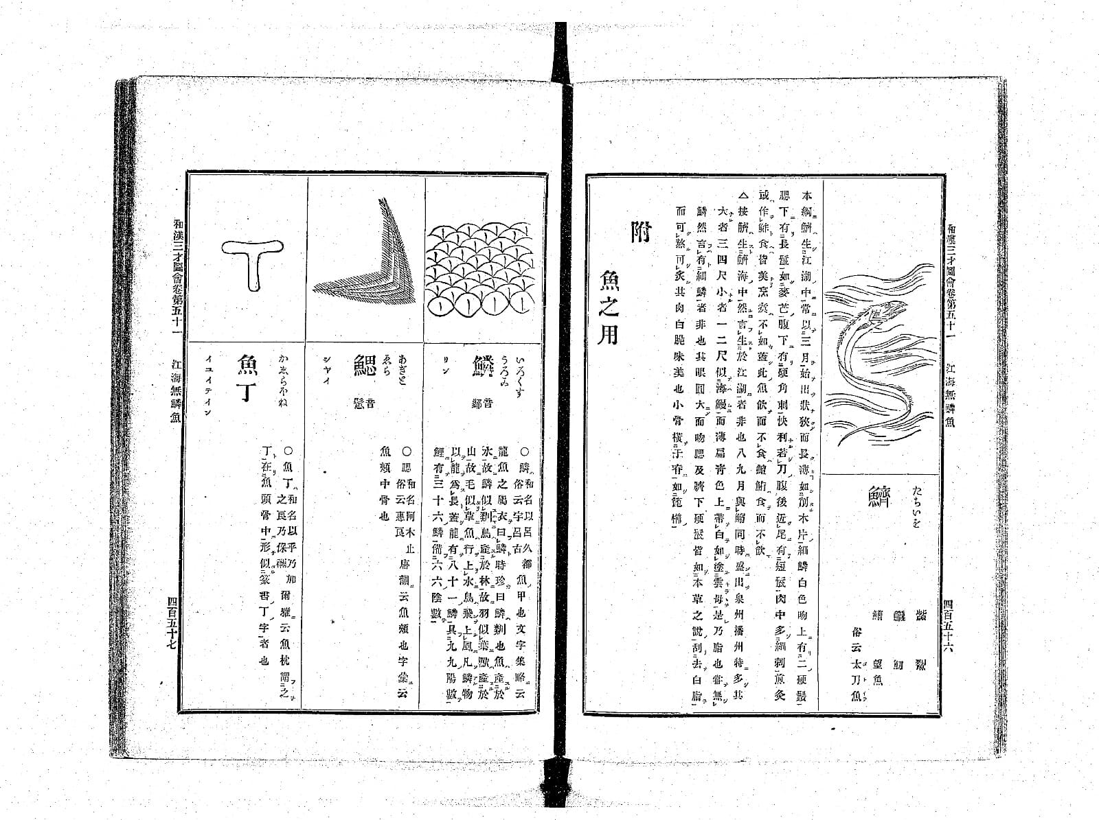 『和漢三才図会』巻五十一の見開き。右ページに波の中を泳ぐタチウオの図と見出し「鱭」