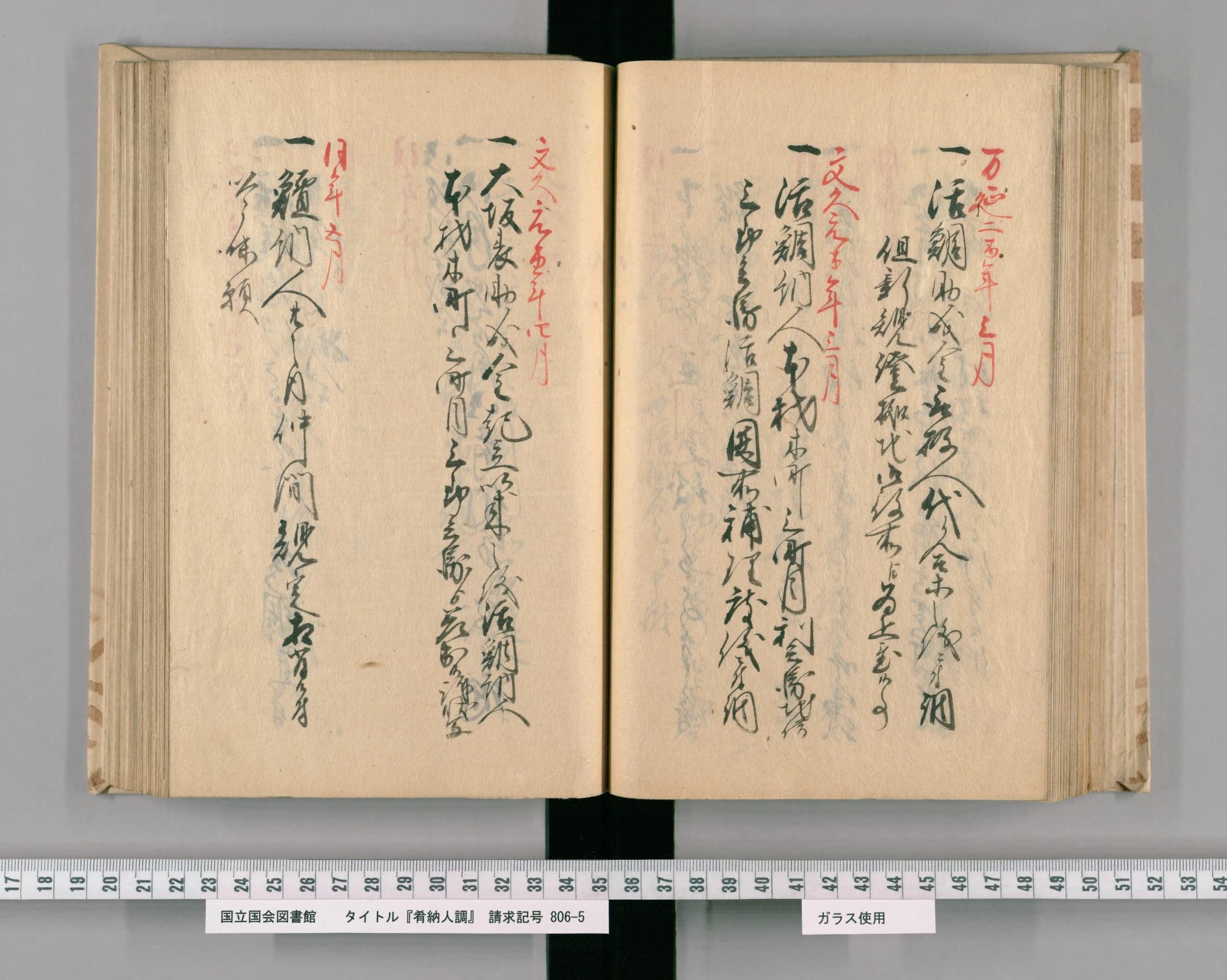 『肴納人調』の年次記録の一丁。活鯛に関する案件が年ごとに並ぶ