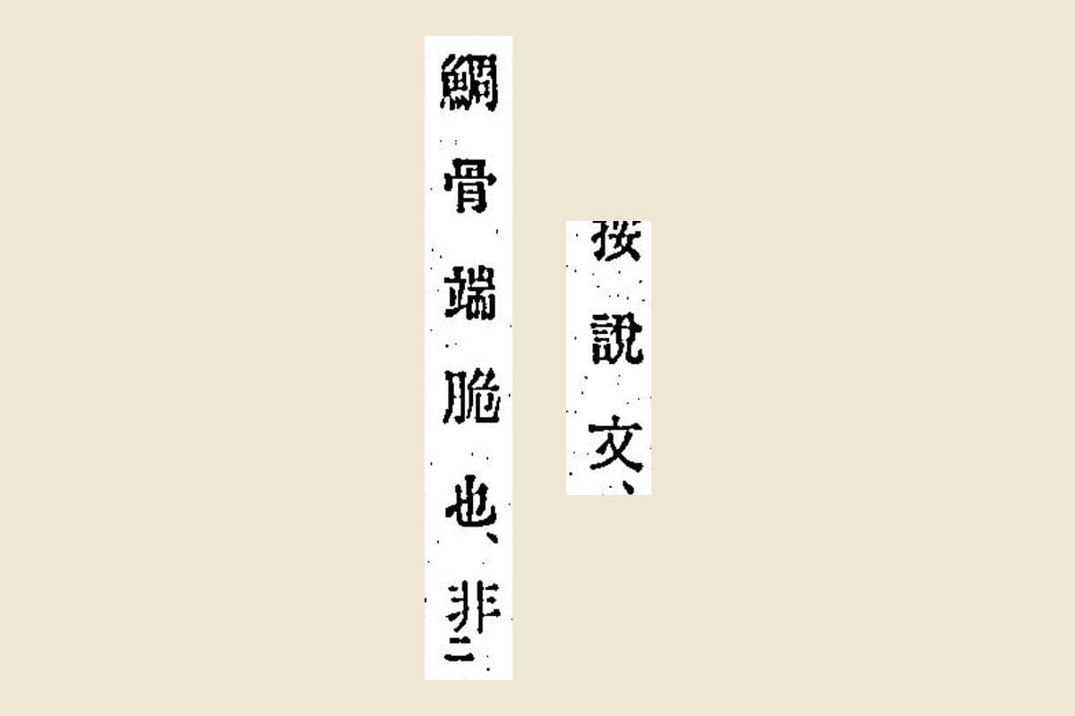 『箋注倭名類聚抄』コマ11の「按說文、」と「鯛骨端脆也、非」の大写し