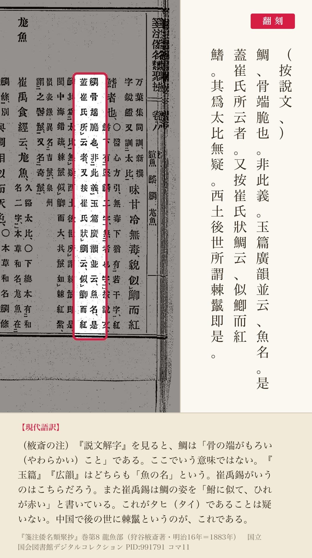 『箋注倭名類聚抄』巻八コマ11の棭斎の注「鯛、骨端脆也。非此義……其爲太比無疑。西土後世所謂棘鬣即是」の3列と翻刻
