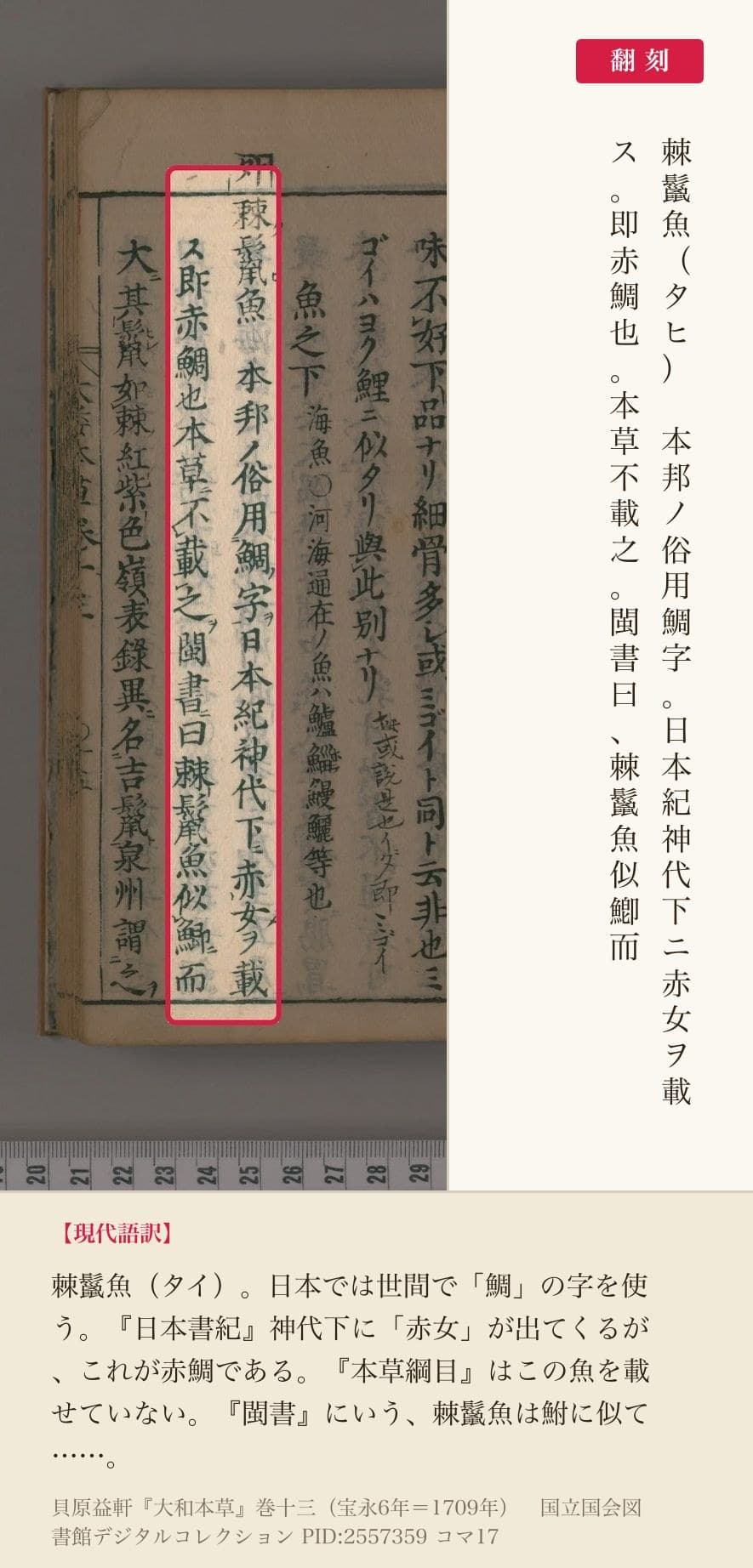 『大和本草』巻十三コマ17の「棘鬣魚 本邦ノ俗用鯛字……本草不載之」の2列と翻刻