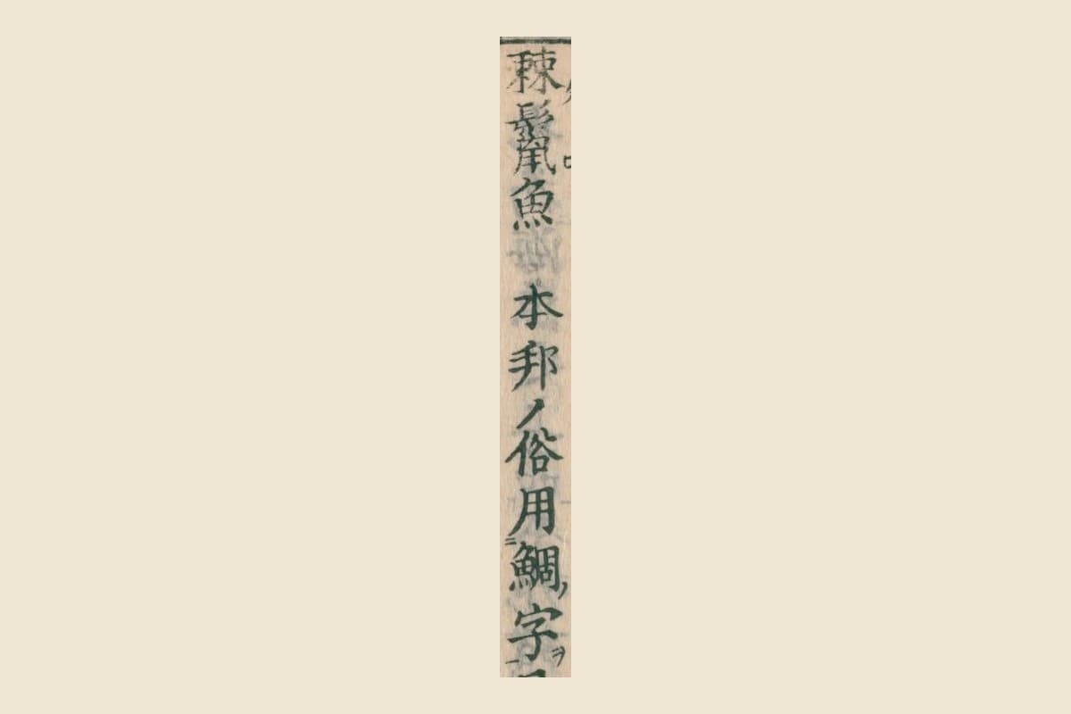 『大和本草』の「棘鬣魚　本邦ノ俗用鯛字」の大写し