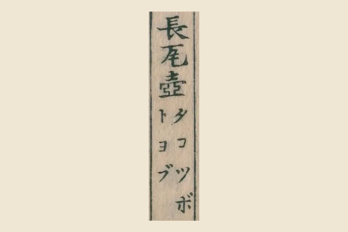 『重訂本草綱目啓蒙』章魚の項「長瓦壺」とルビ「タコツボ」の大写し