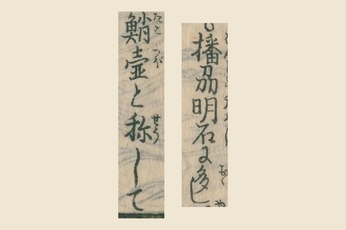 『日本山海名産図会』巻之四の章魚の項「播州明石に多し」「鮹壺と称して」の大写し