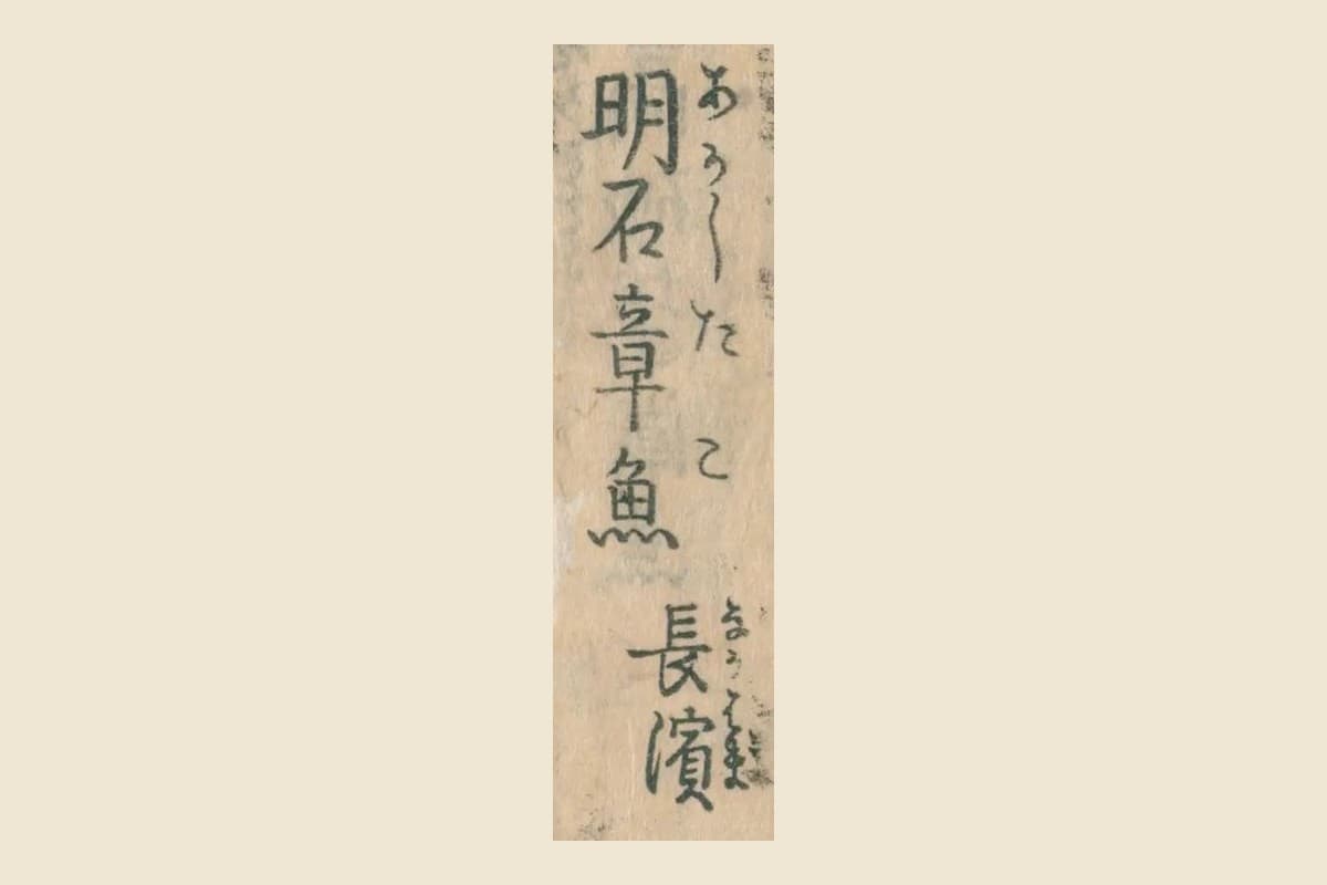 『日本山海名産図会』巻之四の目録「明石章魚」「長濱」の大写し