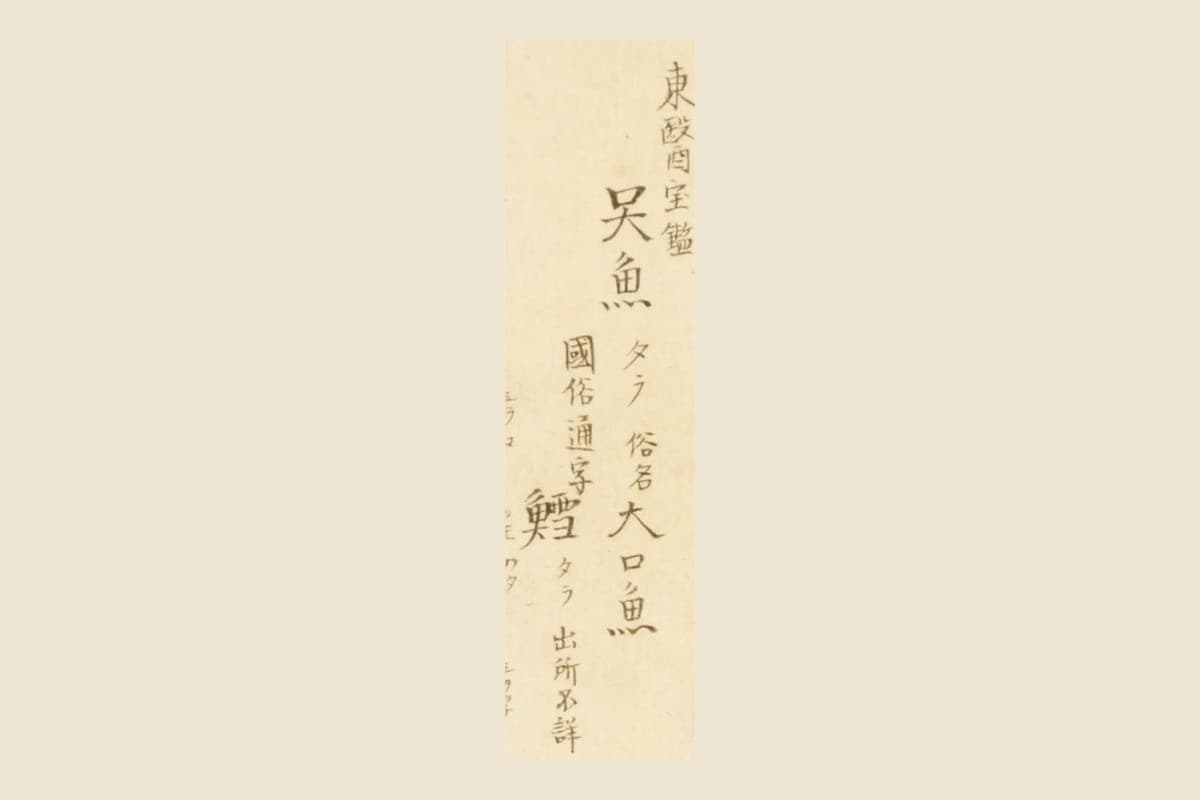 『梅園魚品図正』の見出し「東醫寶鑑 吴魚 タラ 俗名大口魚」と「國俗通字 鱈 タラ 出所不詳」の大写し