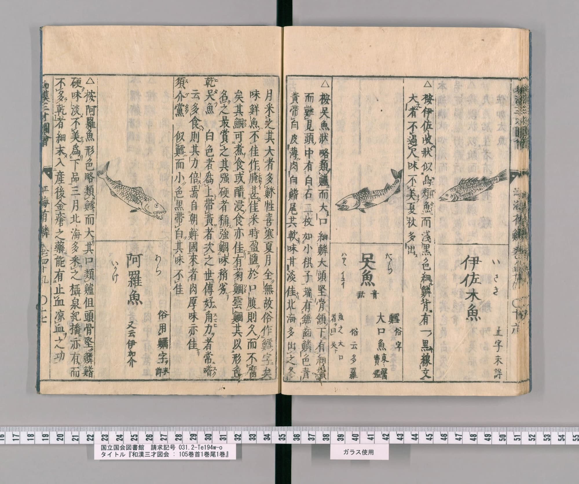 『和漢三才図会』巻四十九コマ34の見開き。右ページ中央に大きな口を開けた魚の絵と、見出し「吴魚（たら）」