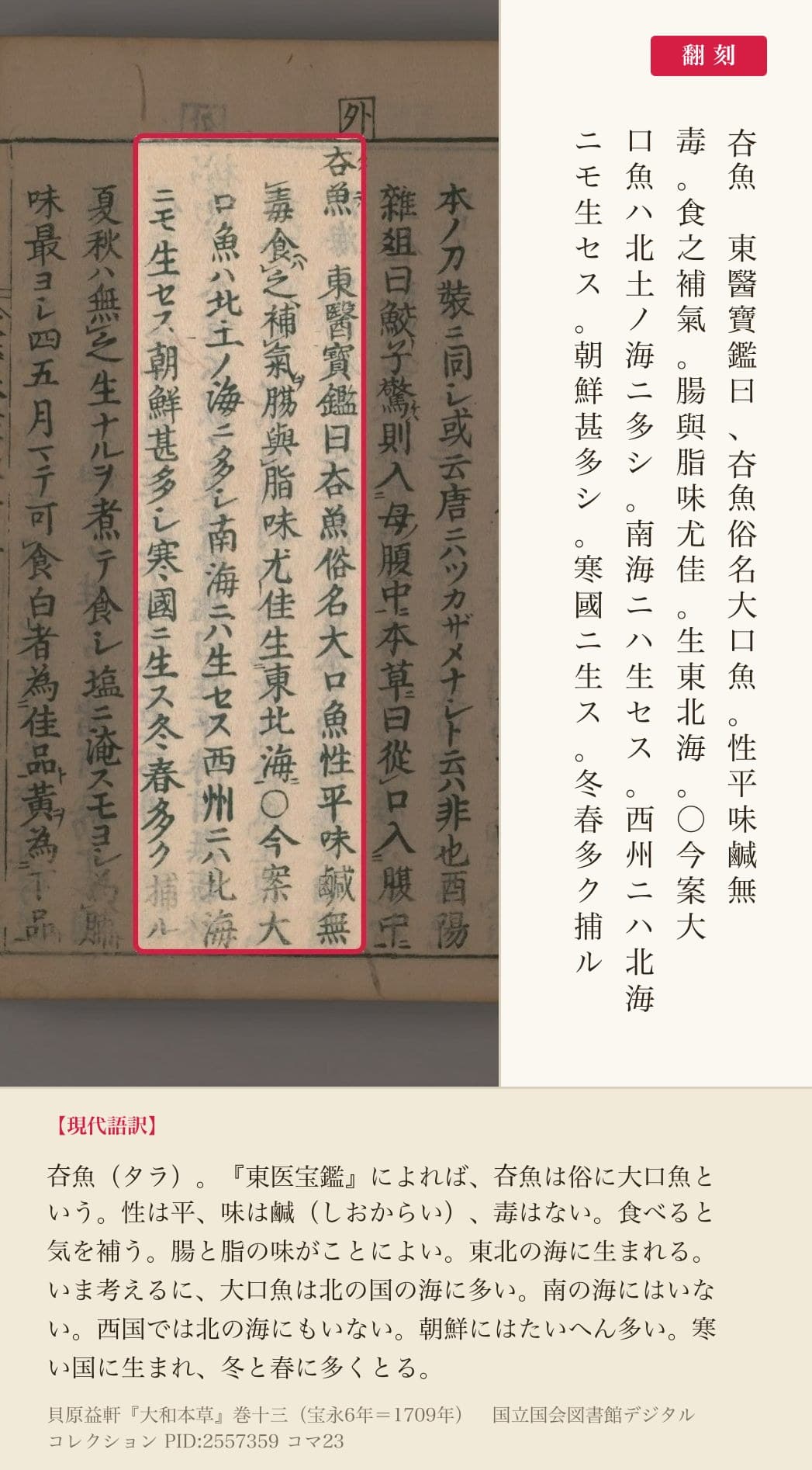 『大和本草』巻十三コマ23の見出し「夻魚」から「寒國ニ生ス冬春多ク捕ル」までの4列と翻刻