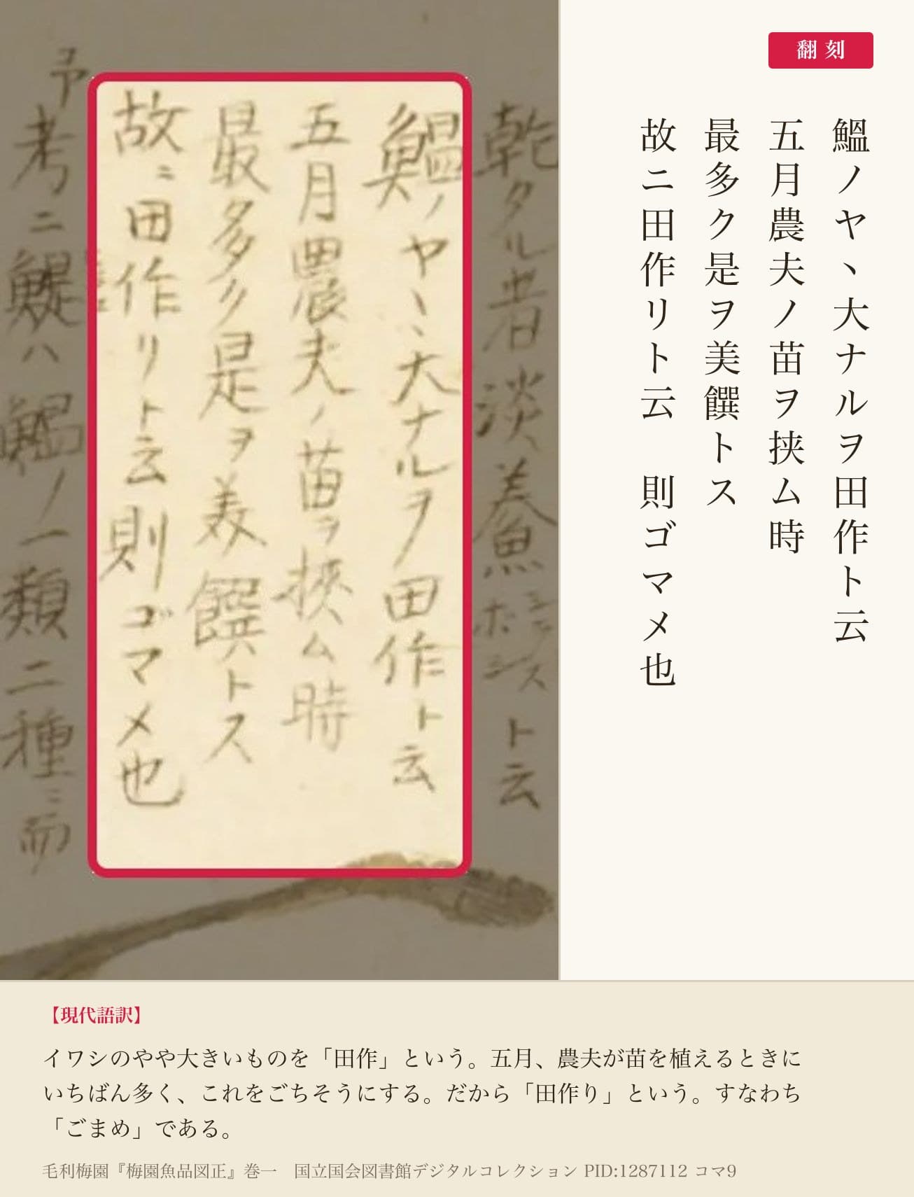 『梅園魚品図正』コマ9の書き入れのうち、田作りの名の由来を書いた四列と翻刻