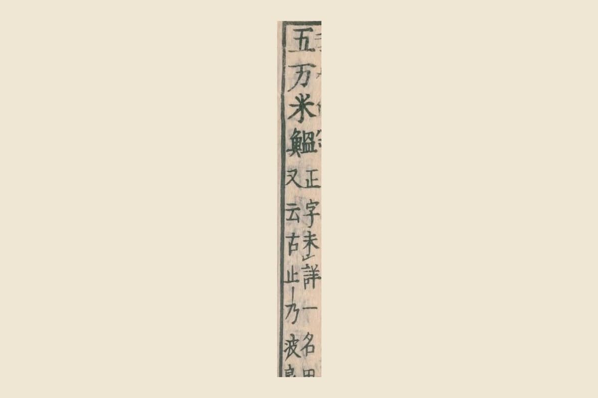 『和漢三才図会』巻四十九コマ36の見出し「五万米鰮」と割注「正字未詳　一名田作　又云古止乃波良」の大写し