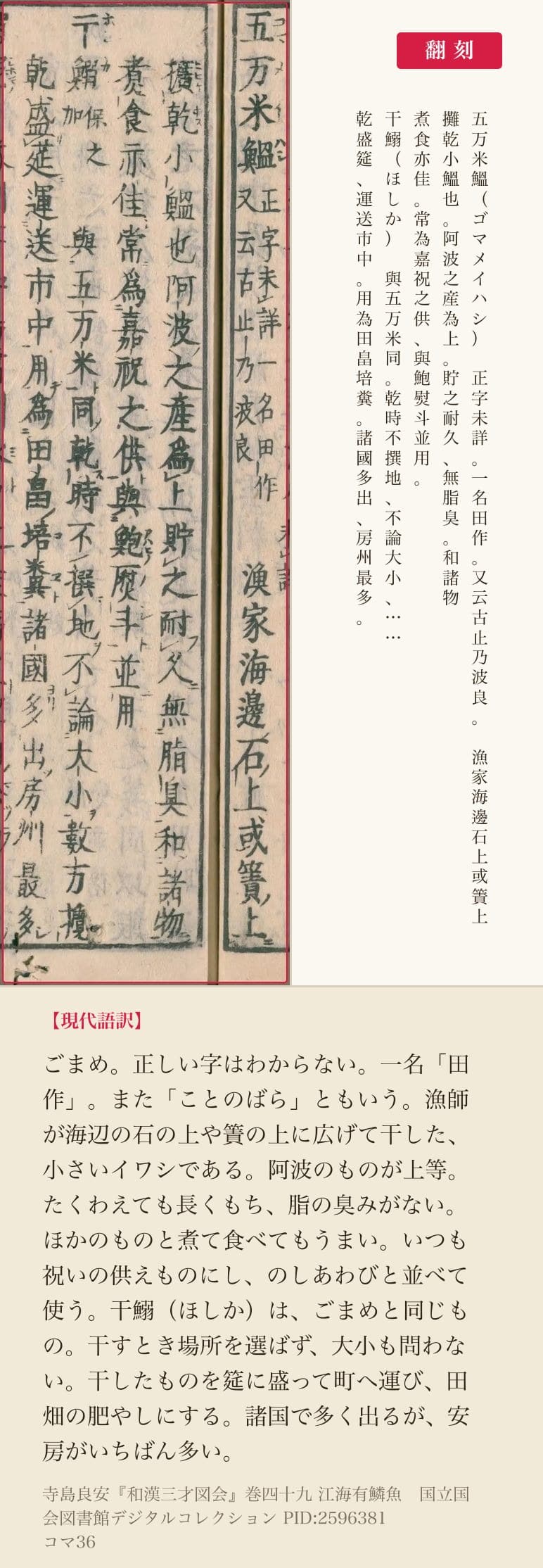 『和漢三才図会』巻四十九コマ36の五万米鰮と干鰯の項と翻刻