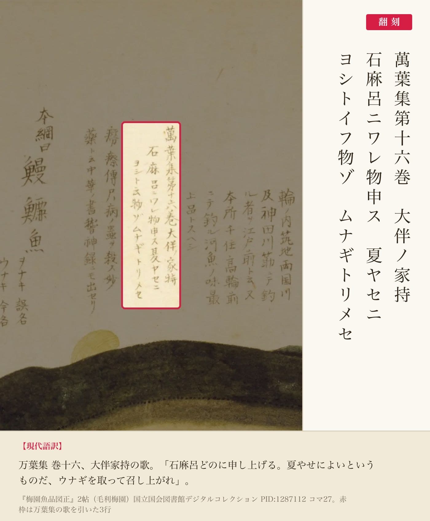 『梅園魚品図正』2帖コマ27、万葉集の歌を引いた部分の赤枠注釈と翻刻