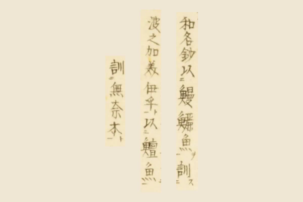 『梅園魚品図正』巻一コマ27、右ページ上の書き込み「和名鈔以鰻鱺魚訓波之加美伊乎以鱣魚訓無奈木」の大写し