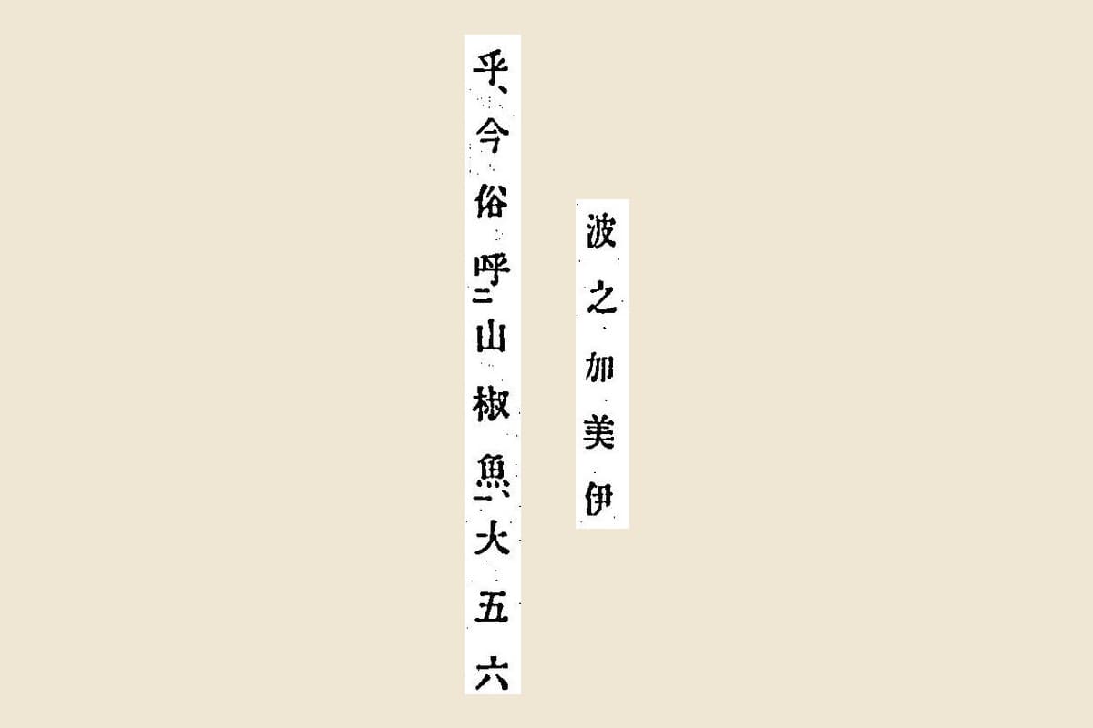 『箋注倭名類聚抄』コマ21の「波之加美伊」と「乎、今俗呼山椒魚、大五六」の大写し