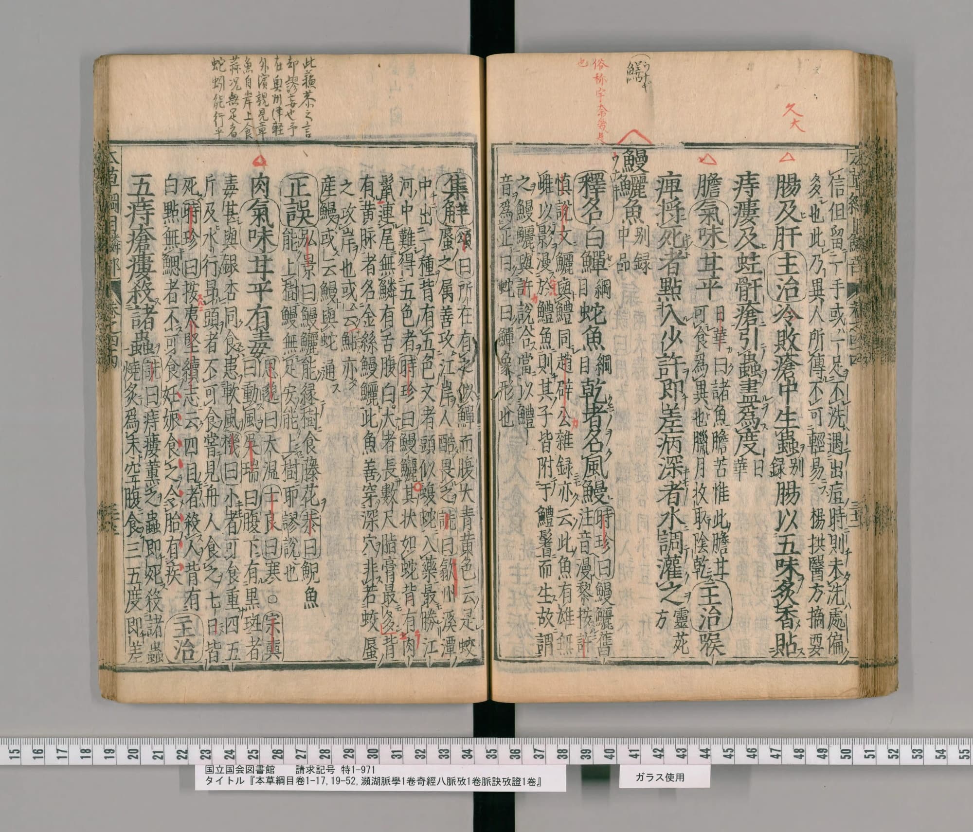 『本草綱目』承応2年刊本 巻四十四コマ80の見開き。右ページのなかほどに見出し「鰻鱺魚」、上の余白に朱と墨の書き入れ