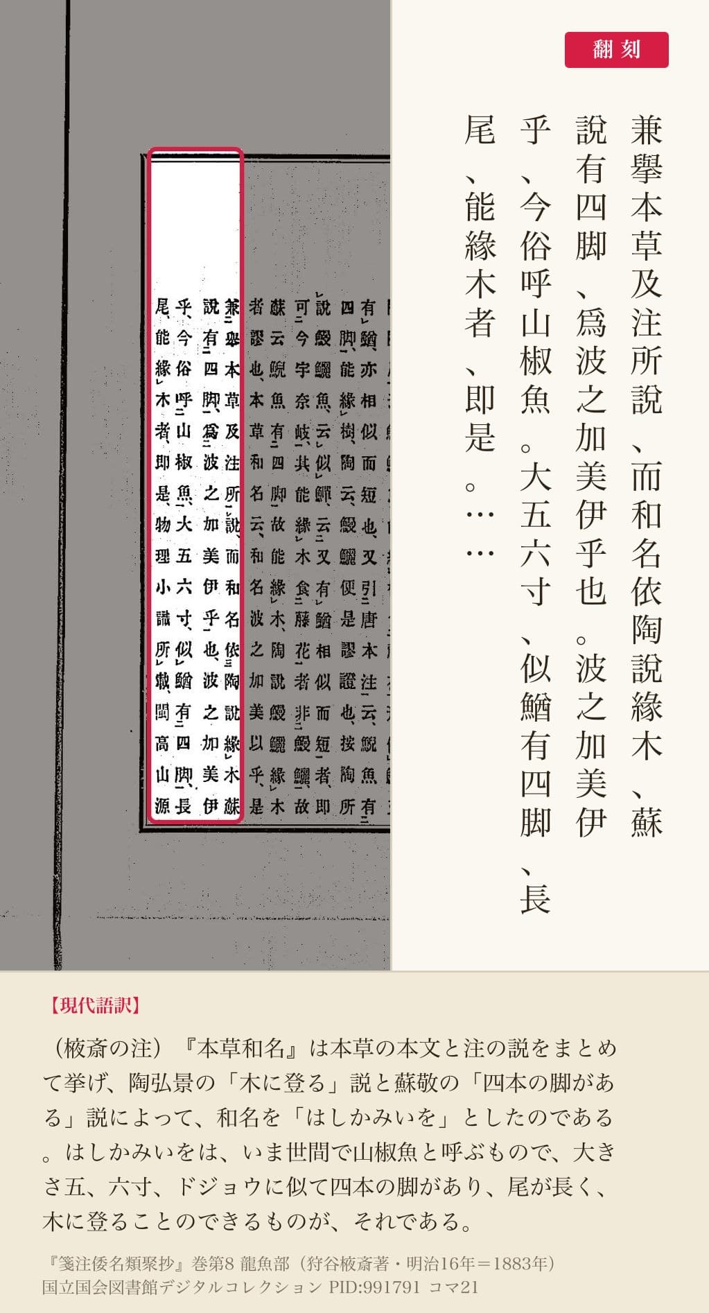『箋注倭名類聚抄』巻八コマ21の棭斎の注「兼擧本草及注所說……波之加美伊乎、今俗呼山椒魚」の4列と翻刻