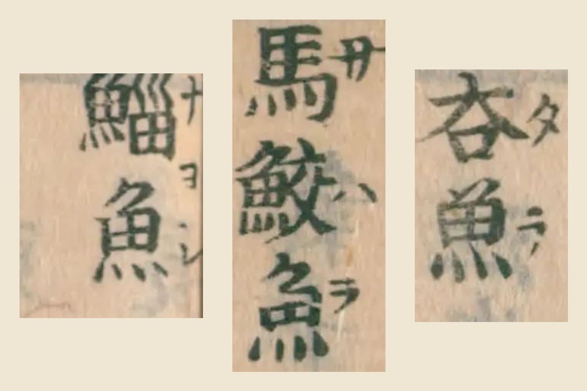 『大和本草』巻十三の見出し「夻魚」「馬鮫魚」「鯔魚」の大写し。振り仮名はタラ、サハラ、ナヨシ