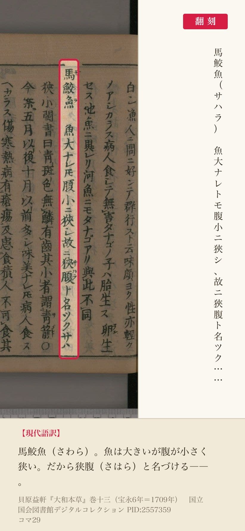 『大和本草』巻十三コマ29のサワラの項「馬鮫魚 魚大ナレトモ腹小ニ狹シ故ニ狹腹ト名ツク」と翻刻