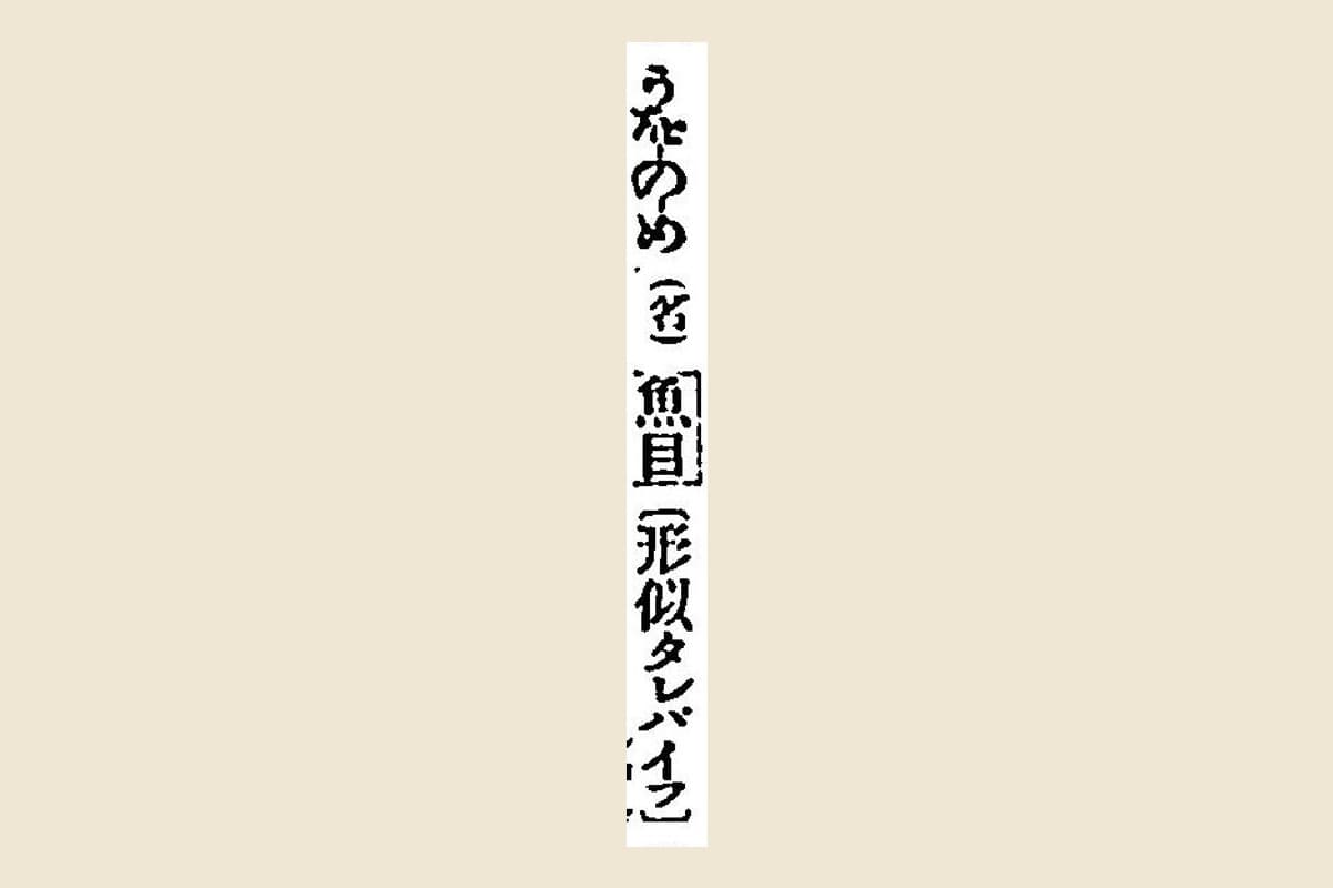 『言海』コマ133の「うをのめ（名）魚目〔形似タレバイフ〕」を大きく切り出したもの