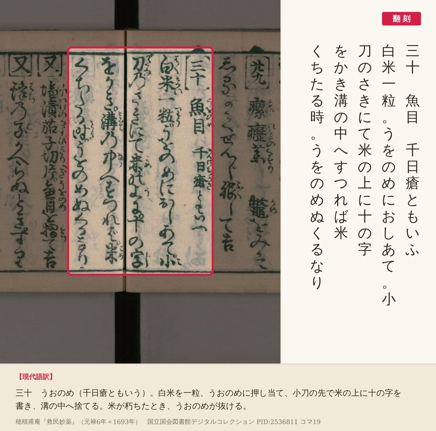 『救民妙薬』コマ19の「三十　魚目　千日瘡ともいふ」から「うをのめぬくるなり」までの5列と翻刻