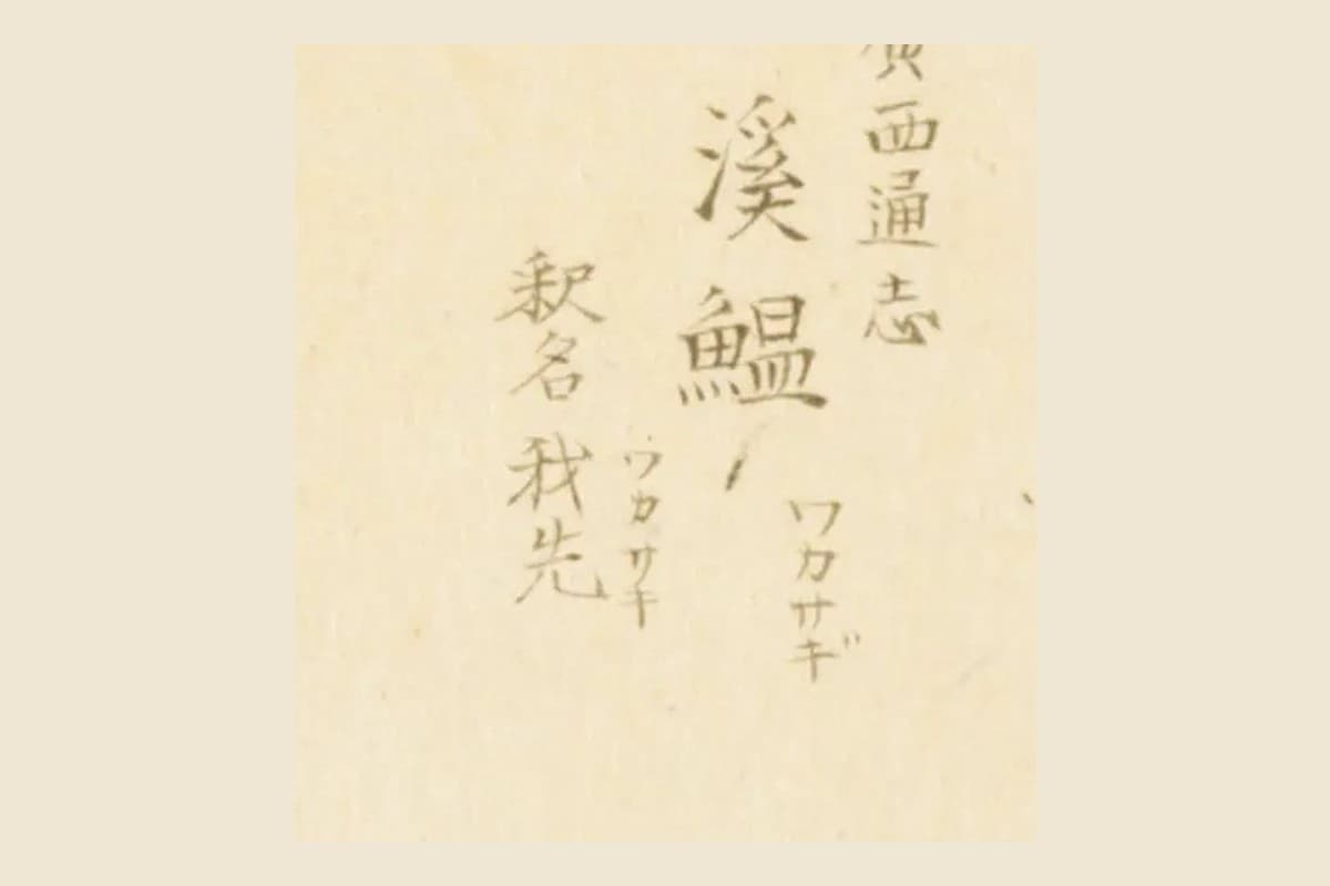 『梅園魚譜』コマ20の書き入れ「廣西通志 溪鰛 ワカサギ」「釈名 我先 ワカサキ」の大写し
