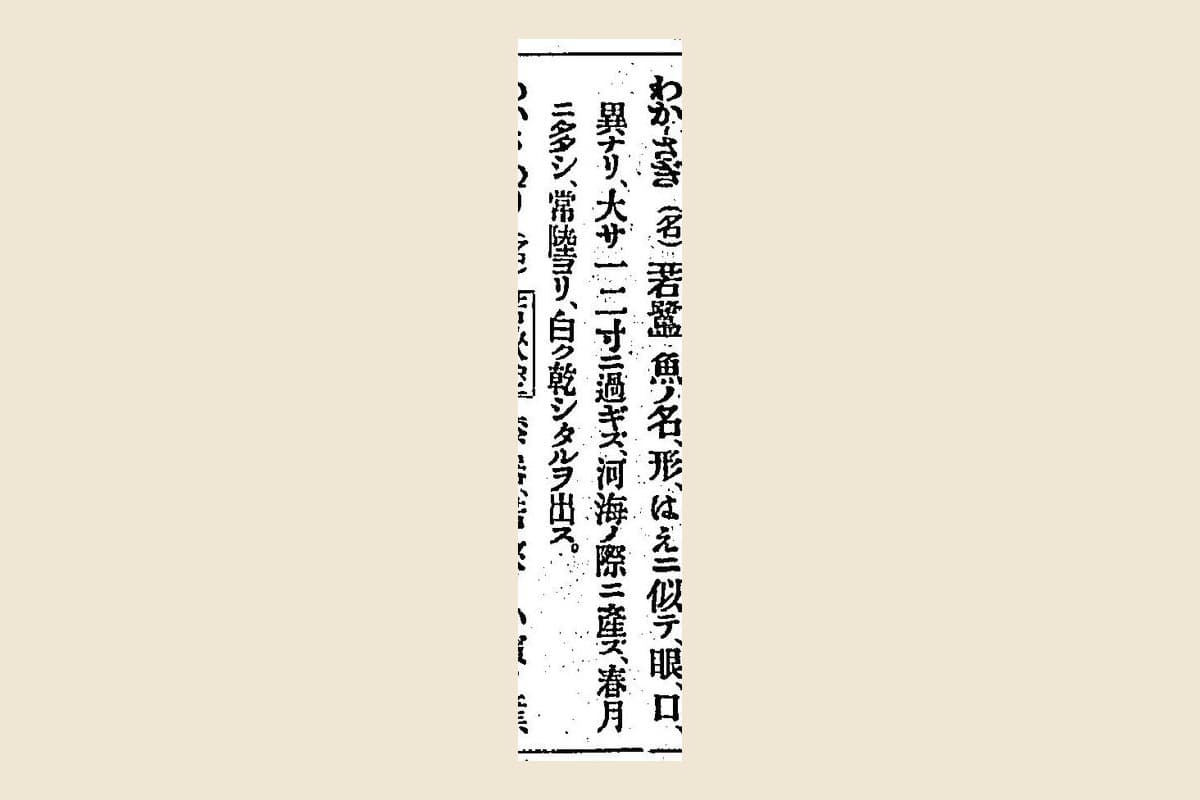 『言海』コマ618の「わかさぎ（名）若鷺」の項の大写し