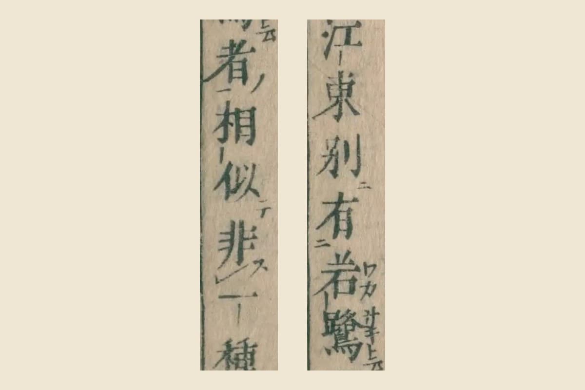 『本朝食鑑』巻七コマ148の「江東別有若鷺」と「相似非一」の大写し。若鷺の右に振り仮名「ワカサギ」
