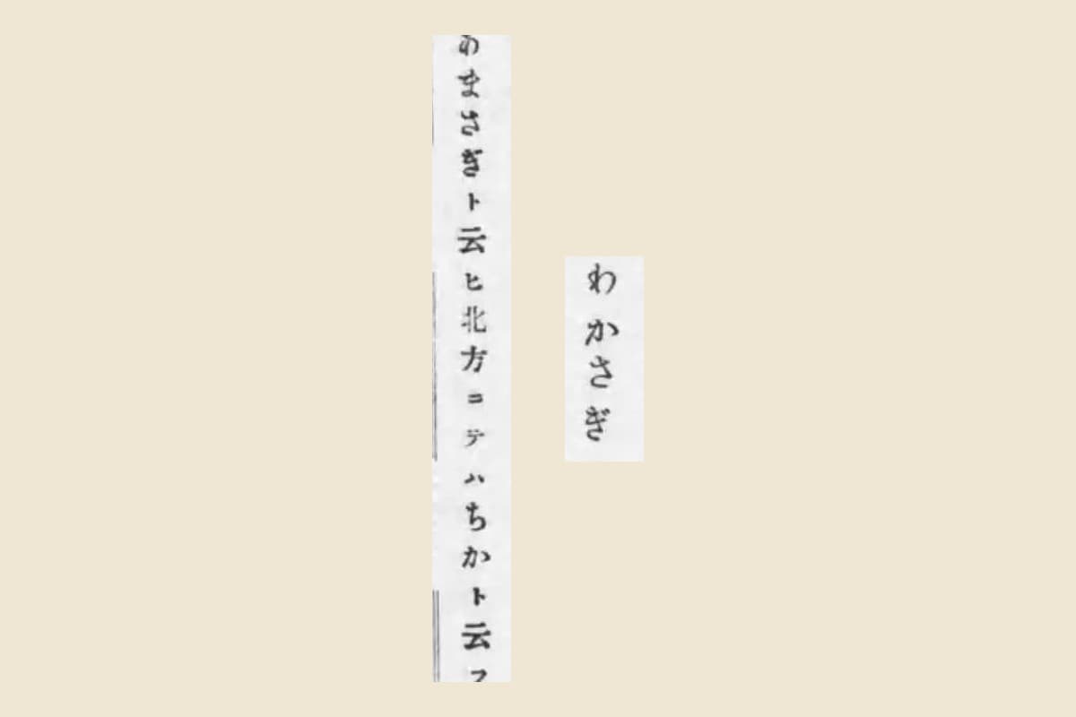 『日本重要水産動物図』解説コマ35の「わかさぎ」と「あまさぎト云ヒ北方ニテハちかト云フ」の大写し