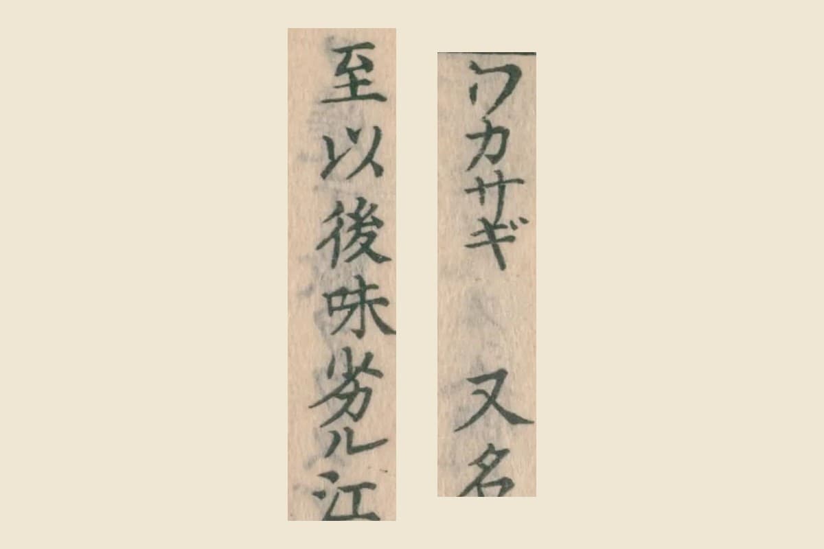 『大和本草』コマ16の見出し「ワカサギ 又名」と、三列目の「至以後味劣ル江」の大写し