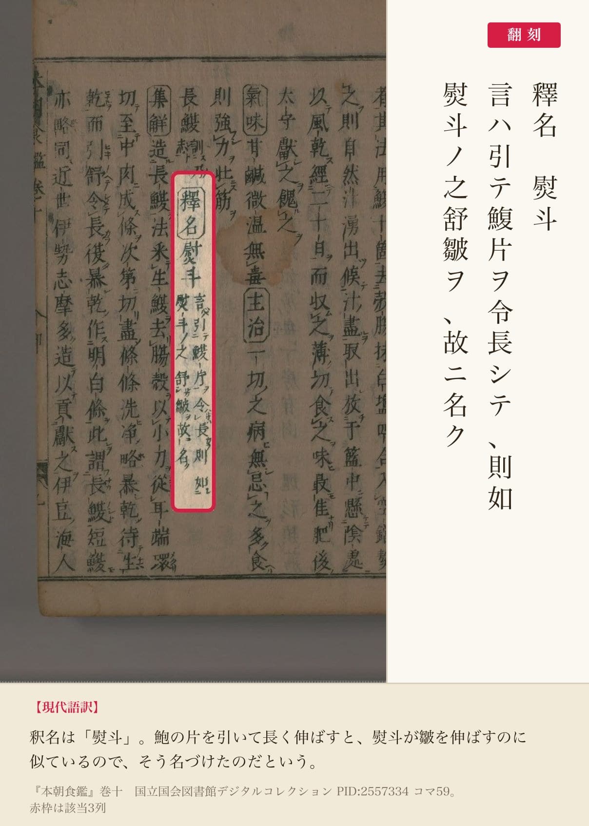 『本朝食鑑』巻十「長鰒」の釈名と翻刻
