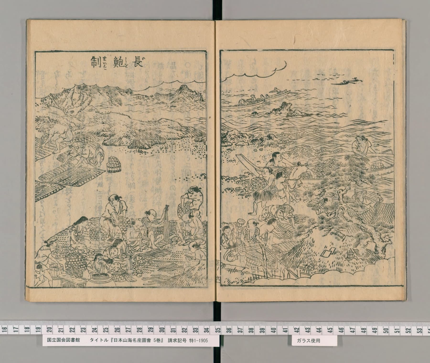 『日本山海名産図会』巻之三の見開き図。右上の題字は「長鮑制」で、「長鮑」に「のし」のルビがある