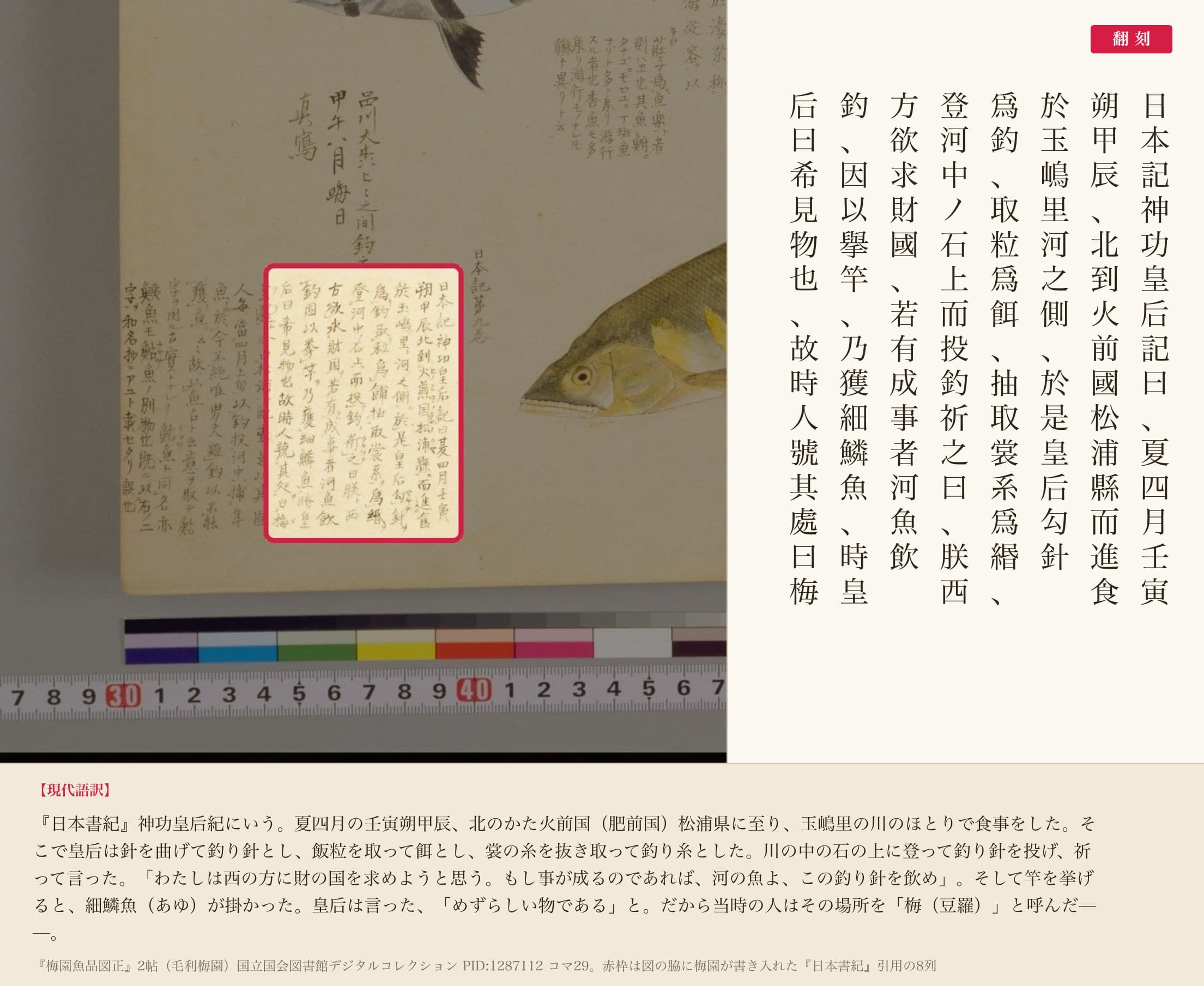『梅園魚品図正』の書き入れのうち、『日本書紀』神功皇后紀を引いた部分と翻刻