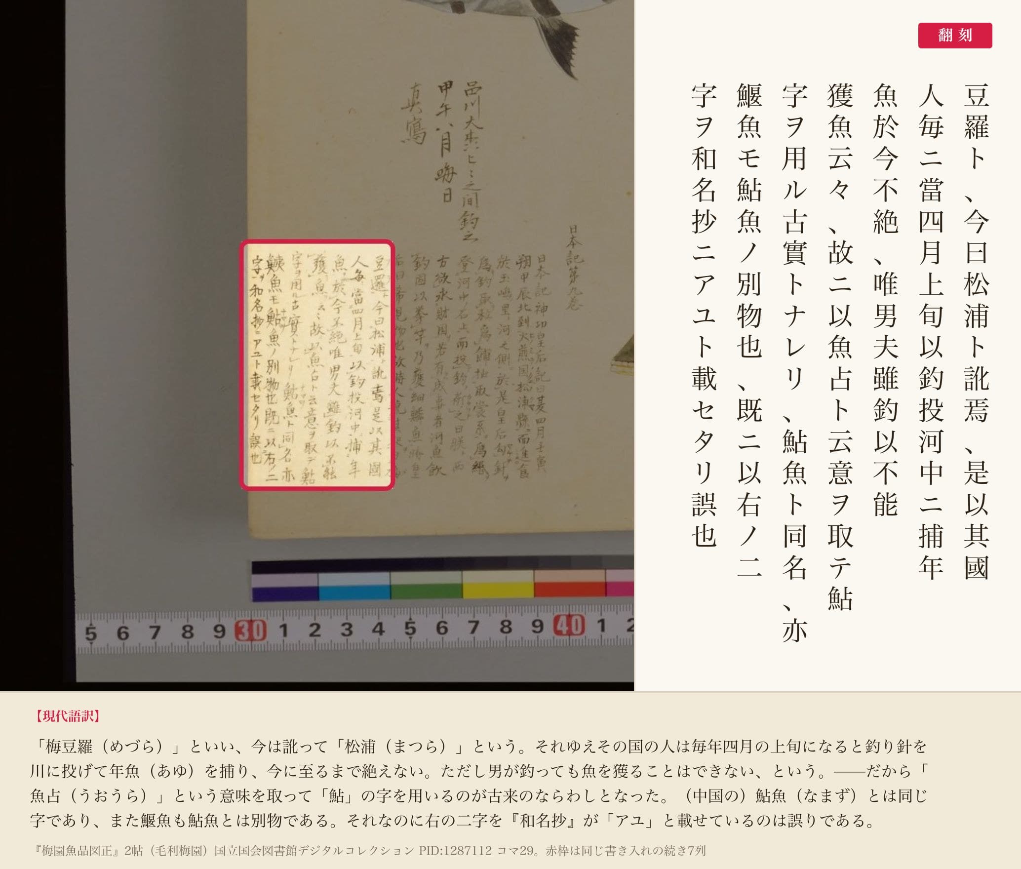 『梅園魚品図正』の書き入れの続き。松浦の地名と「魚占」について記した部分と翻刻